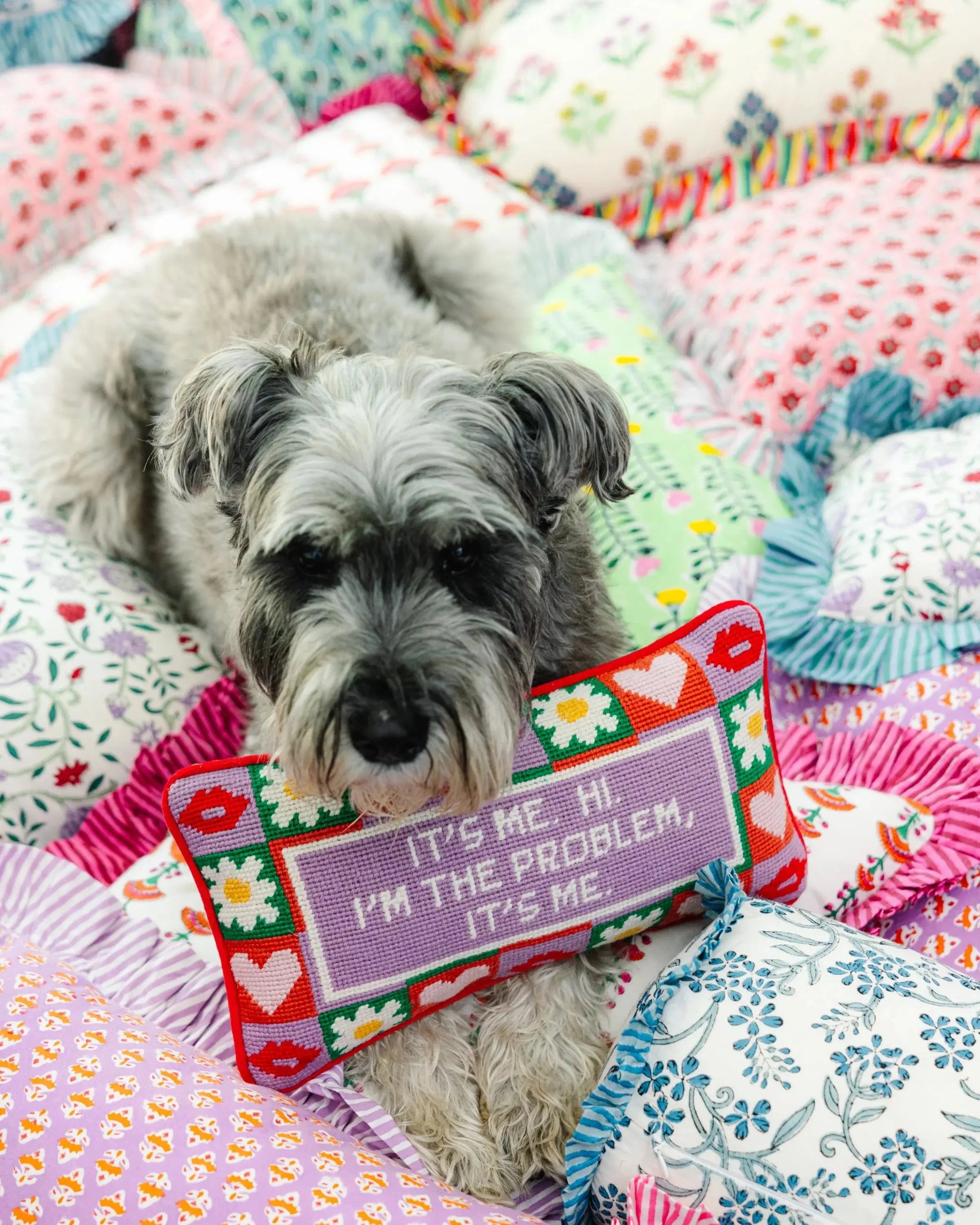 Dog lying on a colorful quilt with a pillow that says 'It's me, hi. I'm the problem, it's me.'