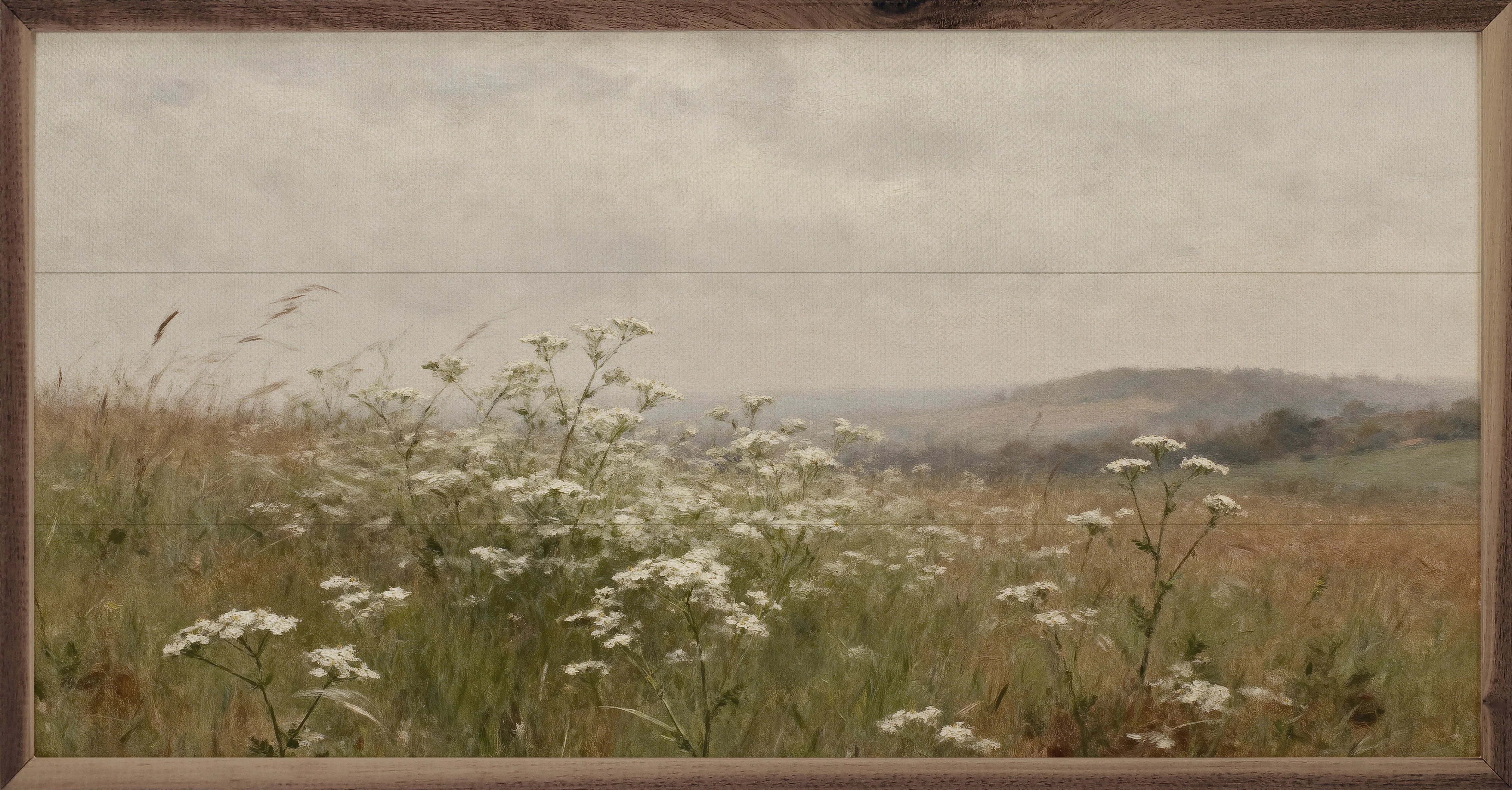 Queen Anne's Lace Field
