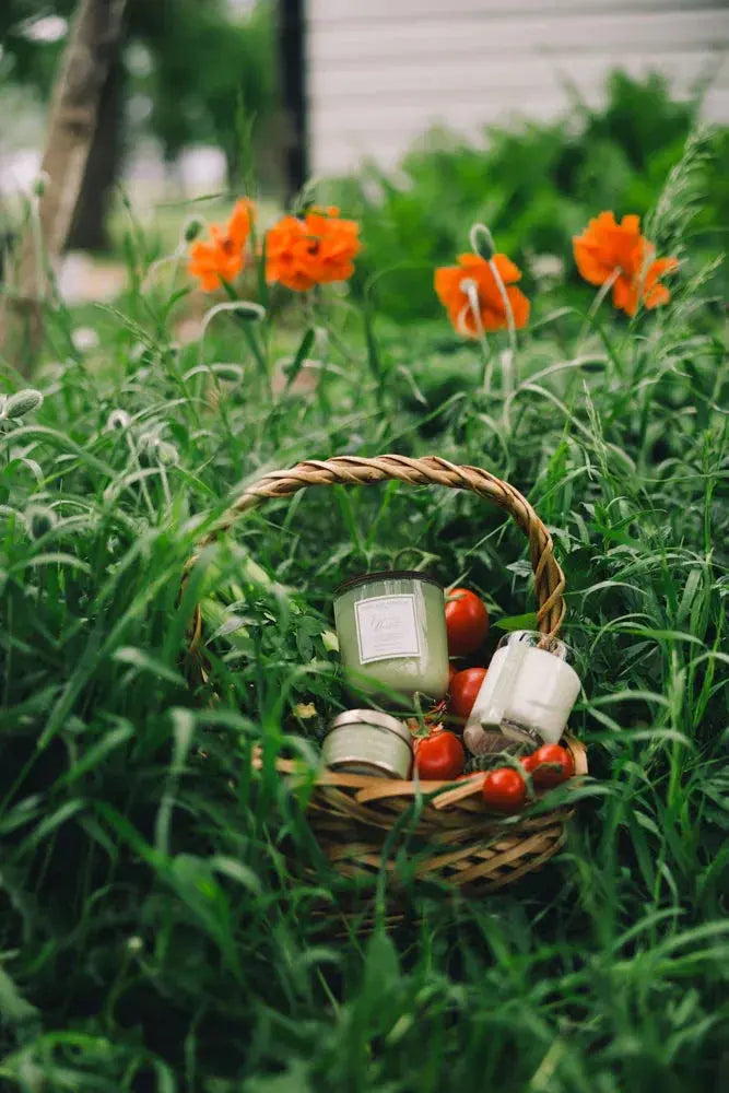 Woven basket with farmhouse candles and fresh tomatoes in a lush garden with orange poppies