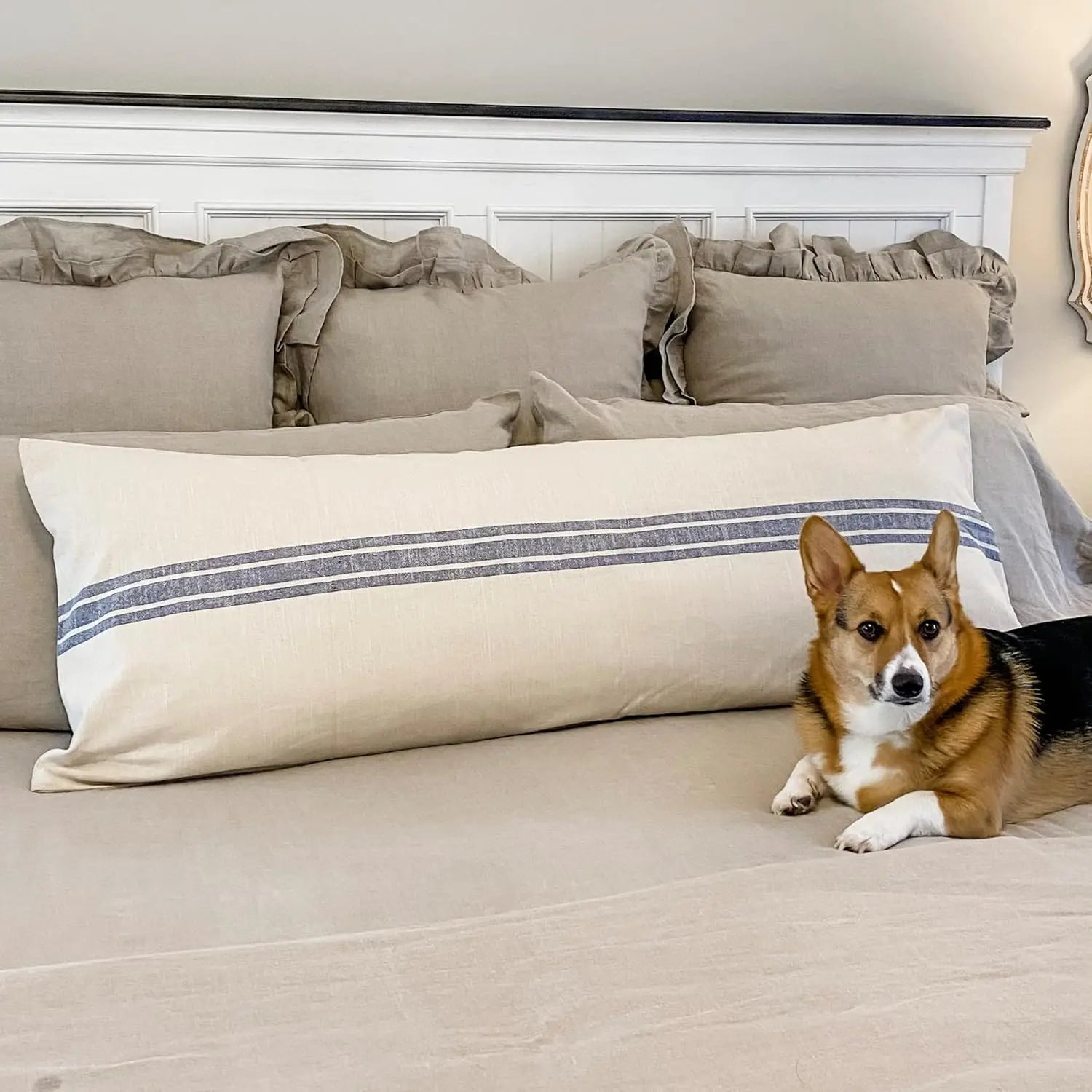 Dog lying on a bed with beige bedding and decorative pillows