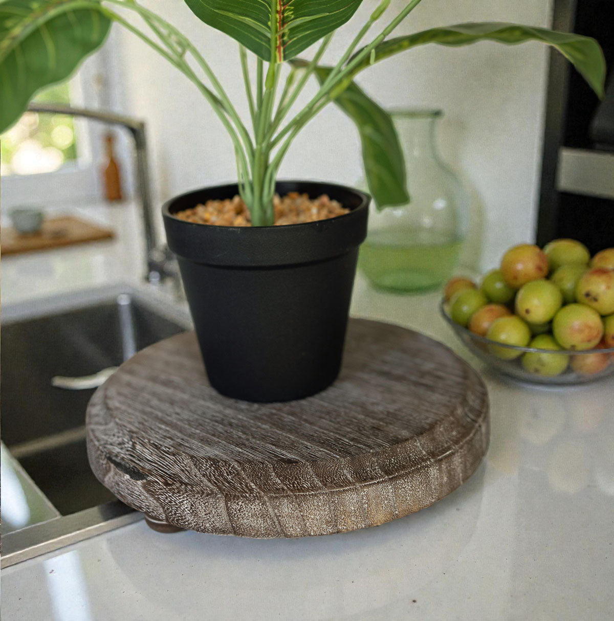 Potted plant on a wooden coaster in a kitchen setting