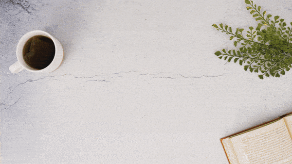 Cozy farmhouse flat lay with coffee cup, greenery, and open book on textured surface