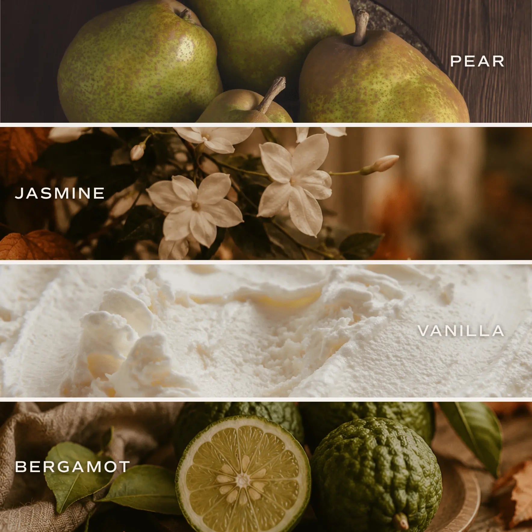 Collage of pears, jasmine flowers, vanilla cream, and bergamot with labels underneath.