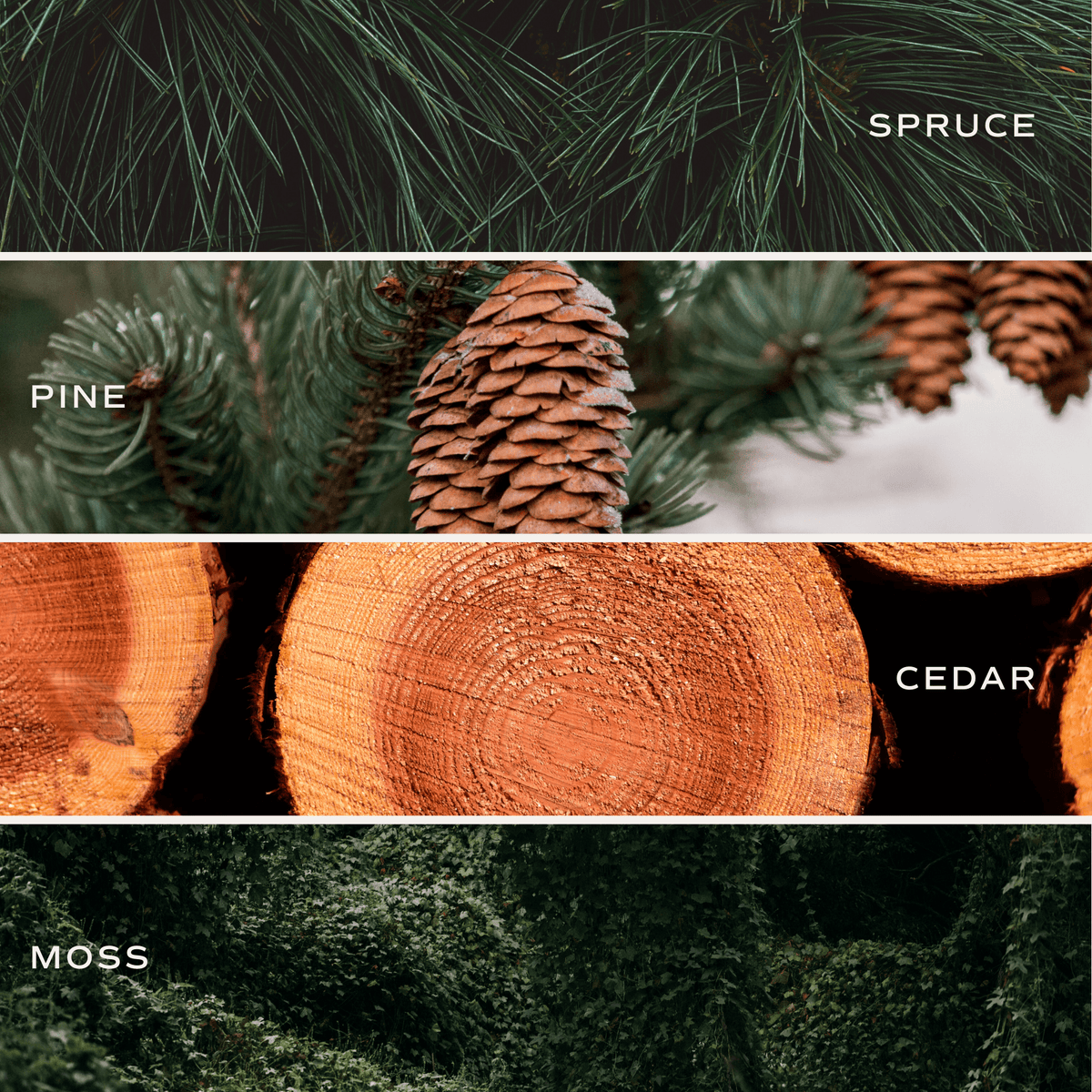 Collage of spruce, pine, cedar, and moss textures with labels.