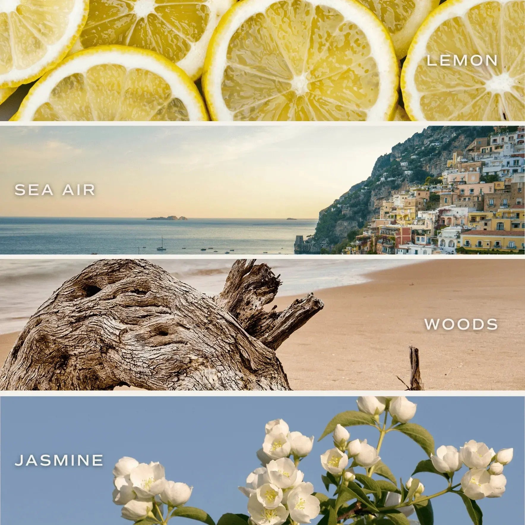 Lemon, sea air, woods, and jasmine scent themes for cozy home candles and bath essentials