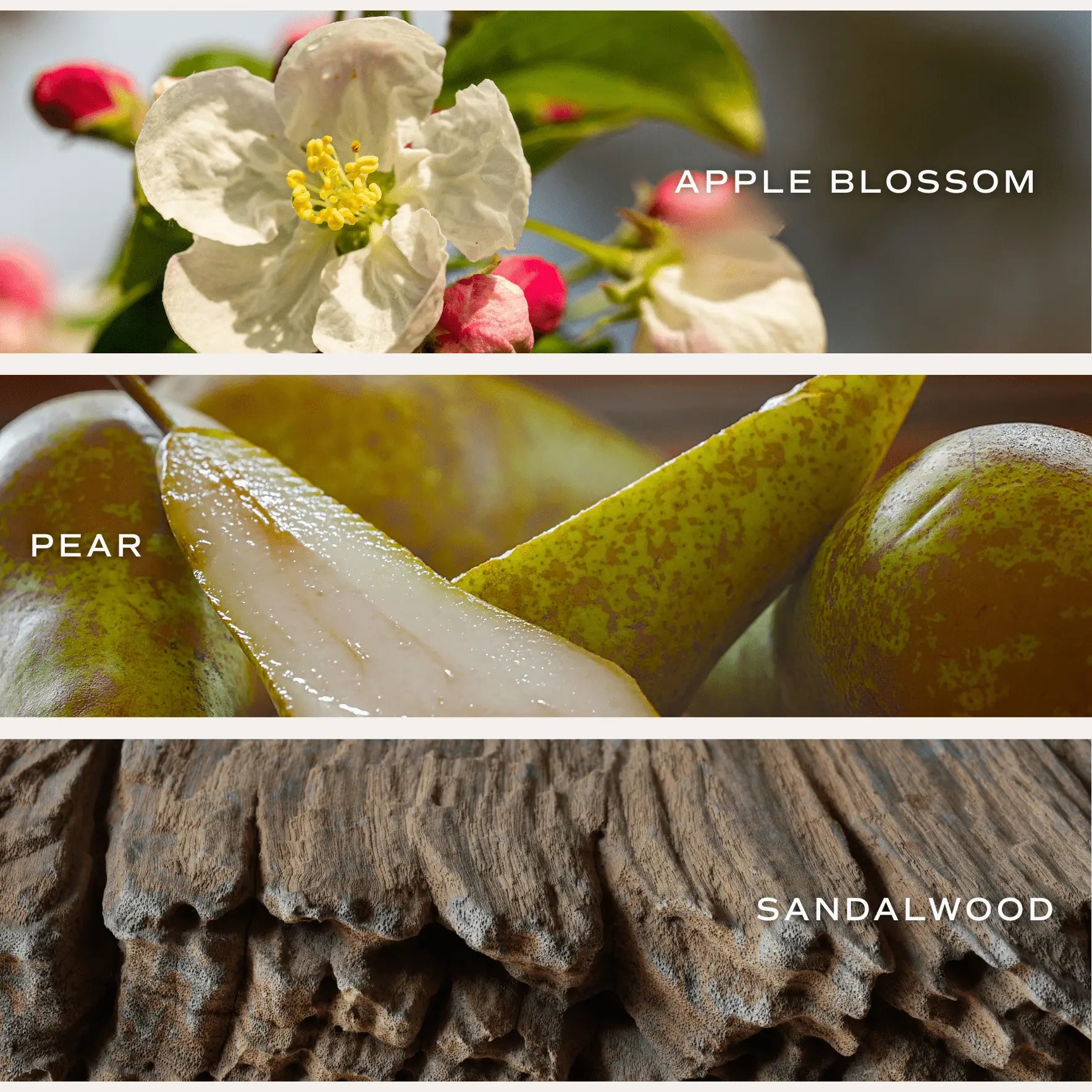 Apple blossom, fresh pear, and sandalwood textures for cozy home fragrance