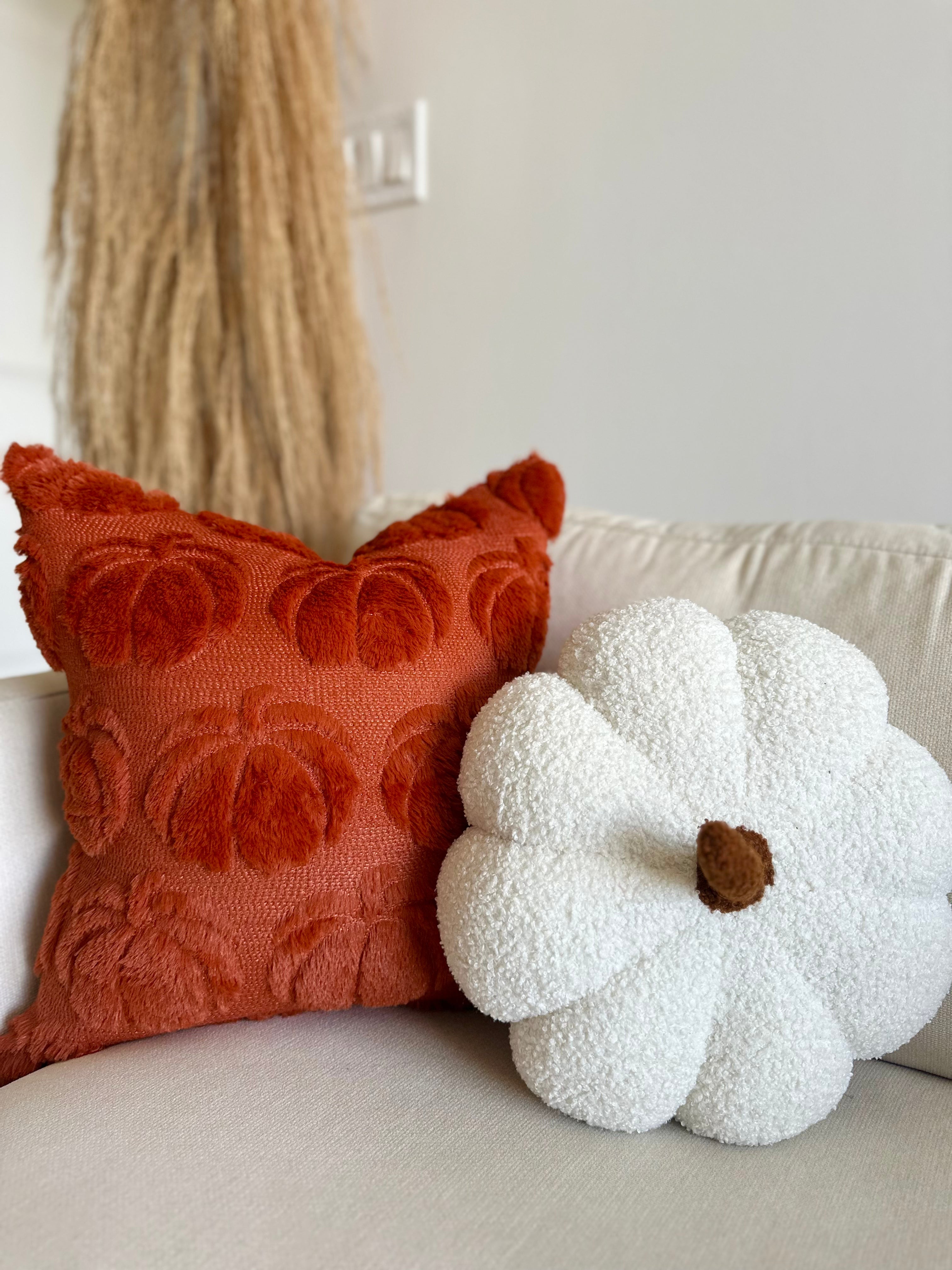 Decorative pillows on a couch with a white wall and decorative mirror in the background