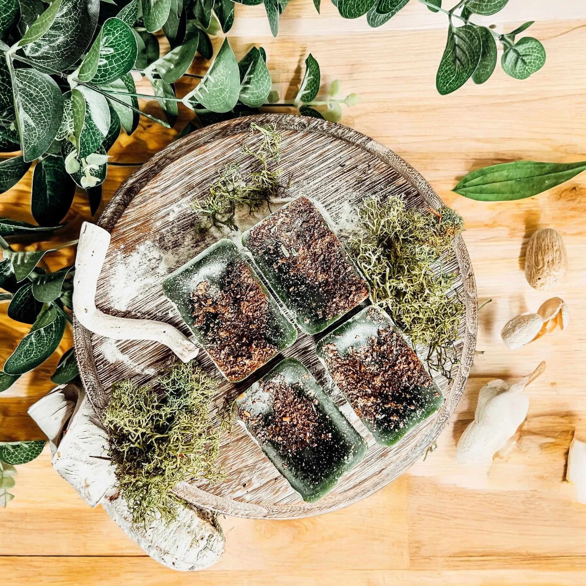 Moss blocks on a wooden board with greenery around