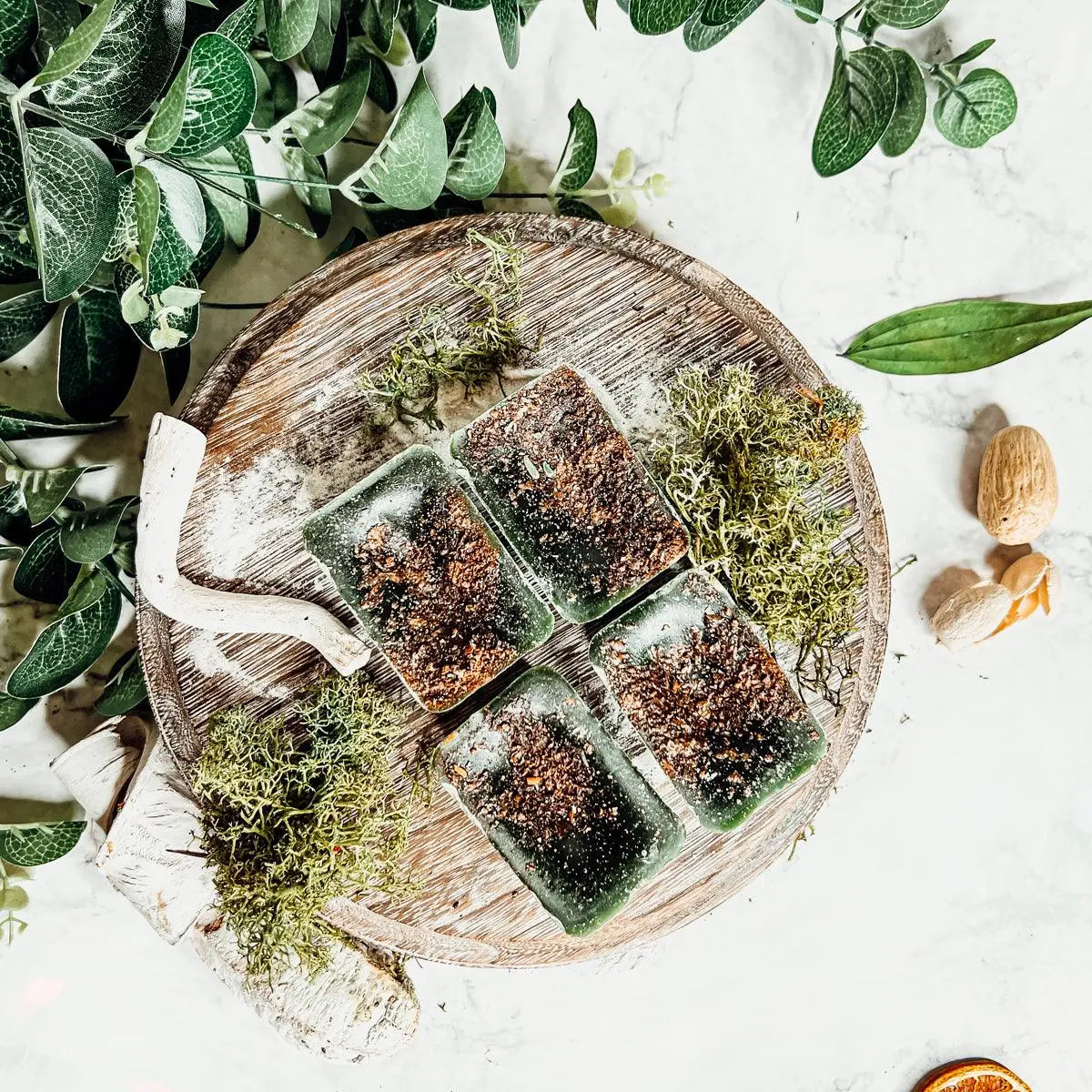 Moss blocks on a wooden board with greenery around
