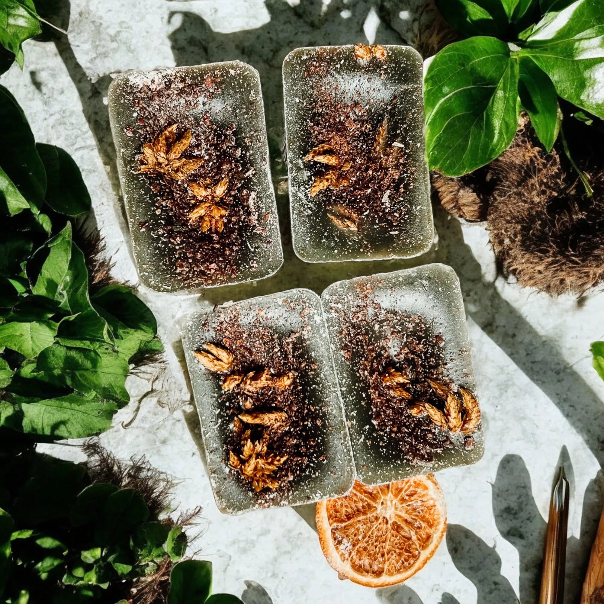 Four square ice cubes with dried flowers on a stone surface with greenery around.