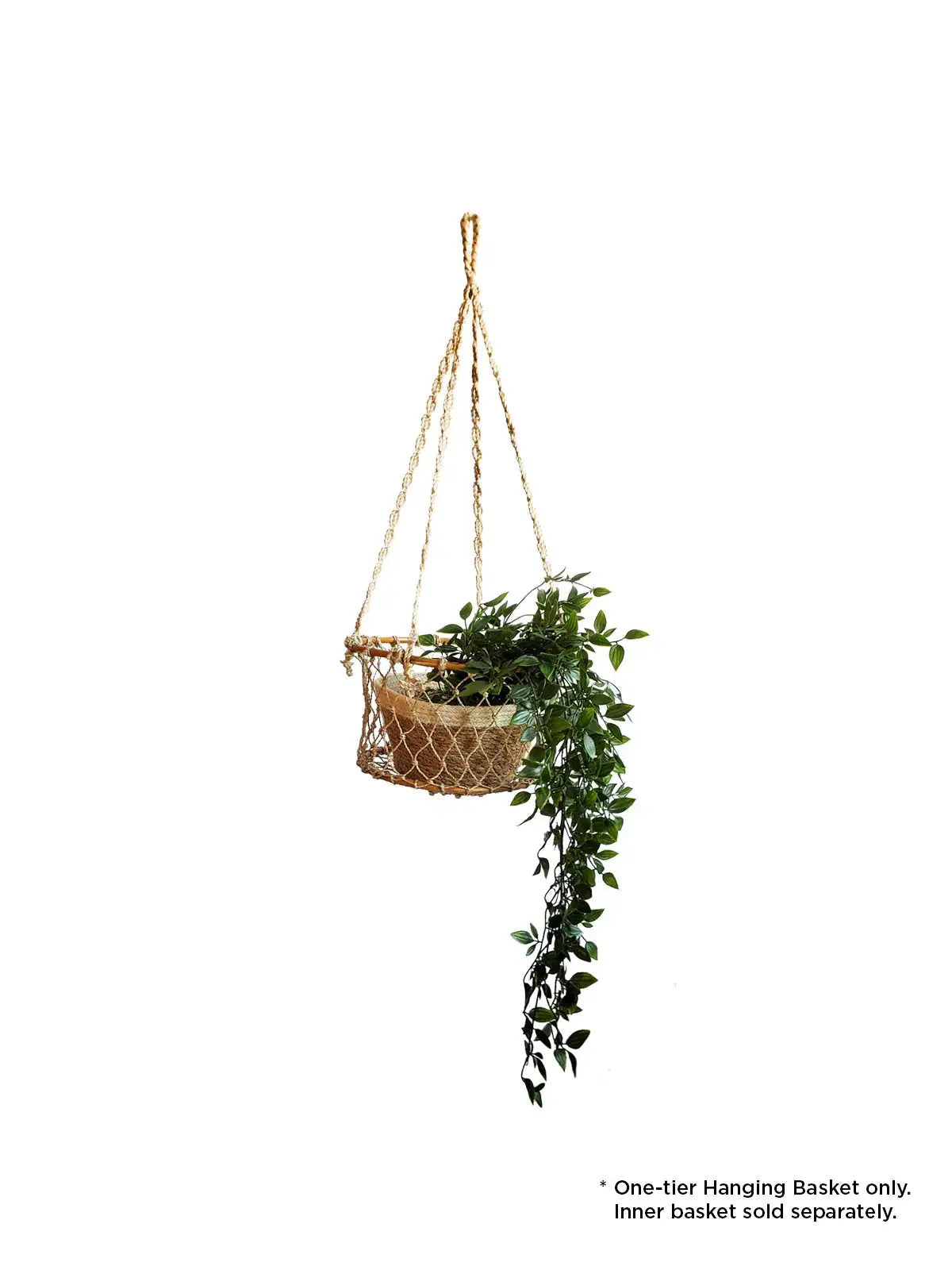 Macrame hanging basket with trailing green plant, farmhouse decor