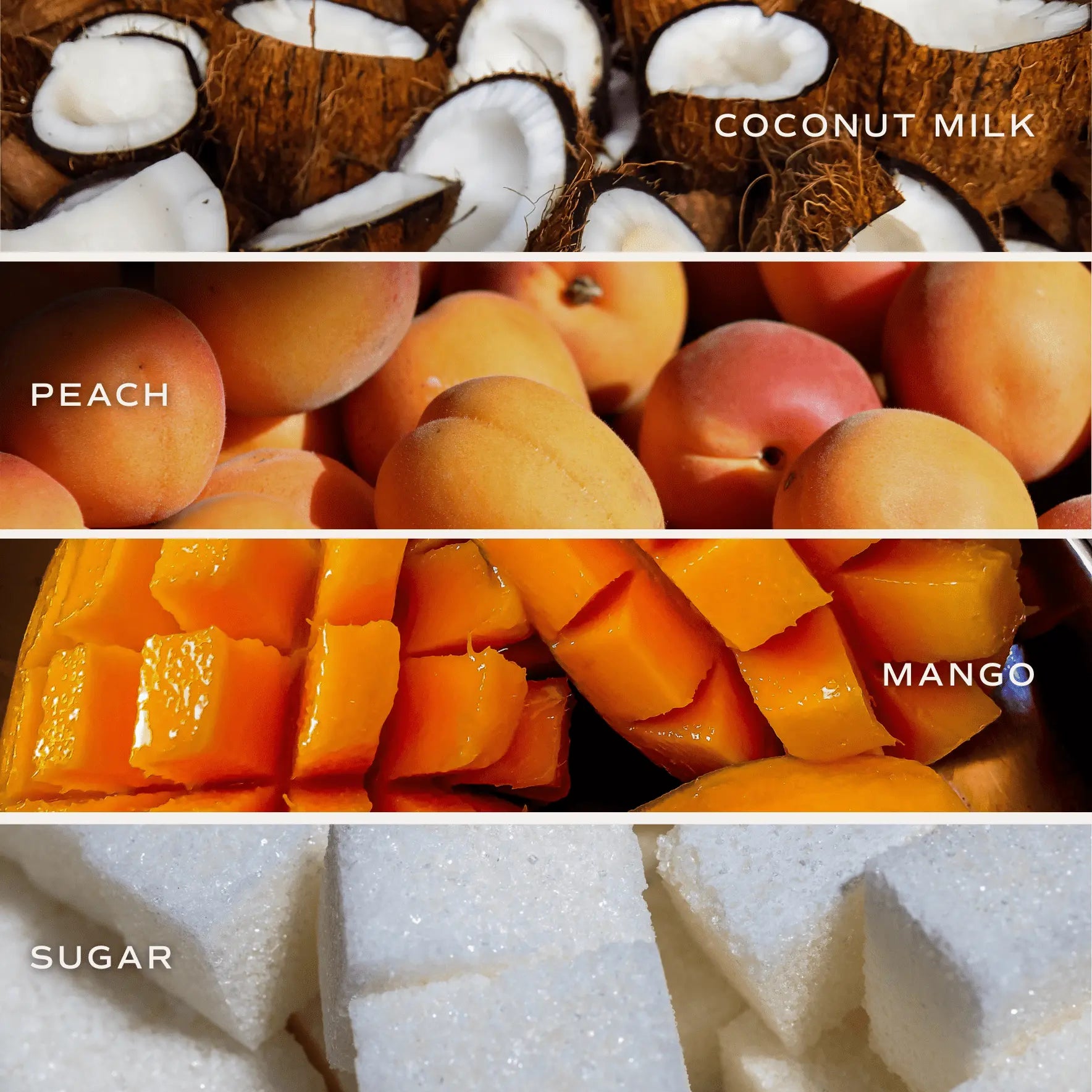 Mango and Coconut Soy Candle - White Jar - 11 oz Sweet Water Decor