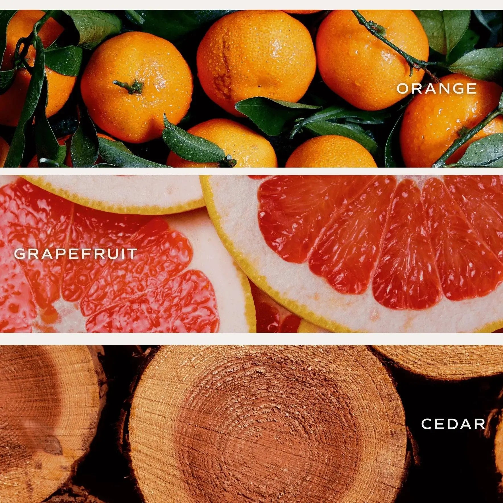 Orange, grapefruit, and cedar wood slices for cozy home fragrance and bath essentials