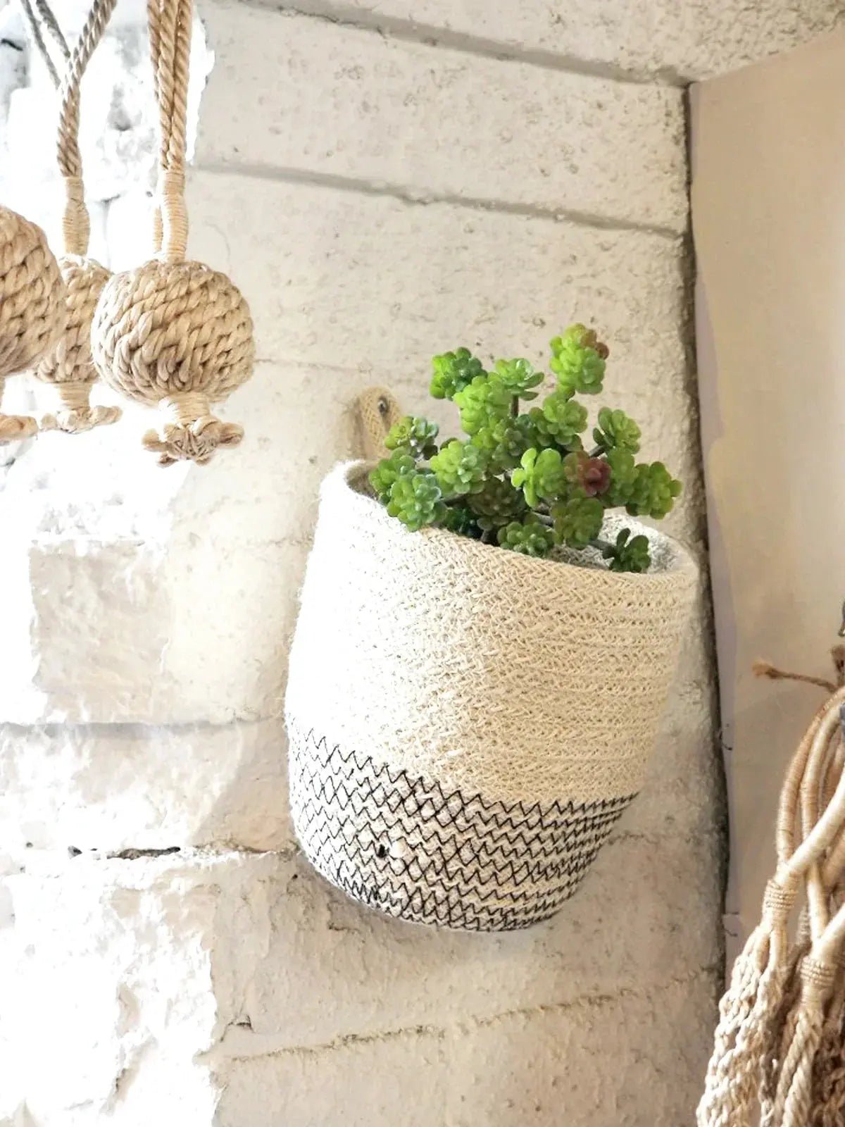 Woven wall planter with succulent, farmhouse decor for cozy living spaces