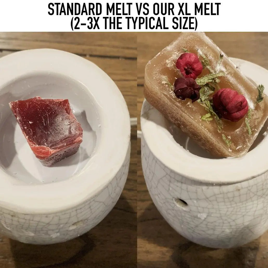 Comparison of standard melt and XL melt in a ceramic container with flowers.