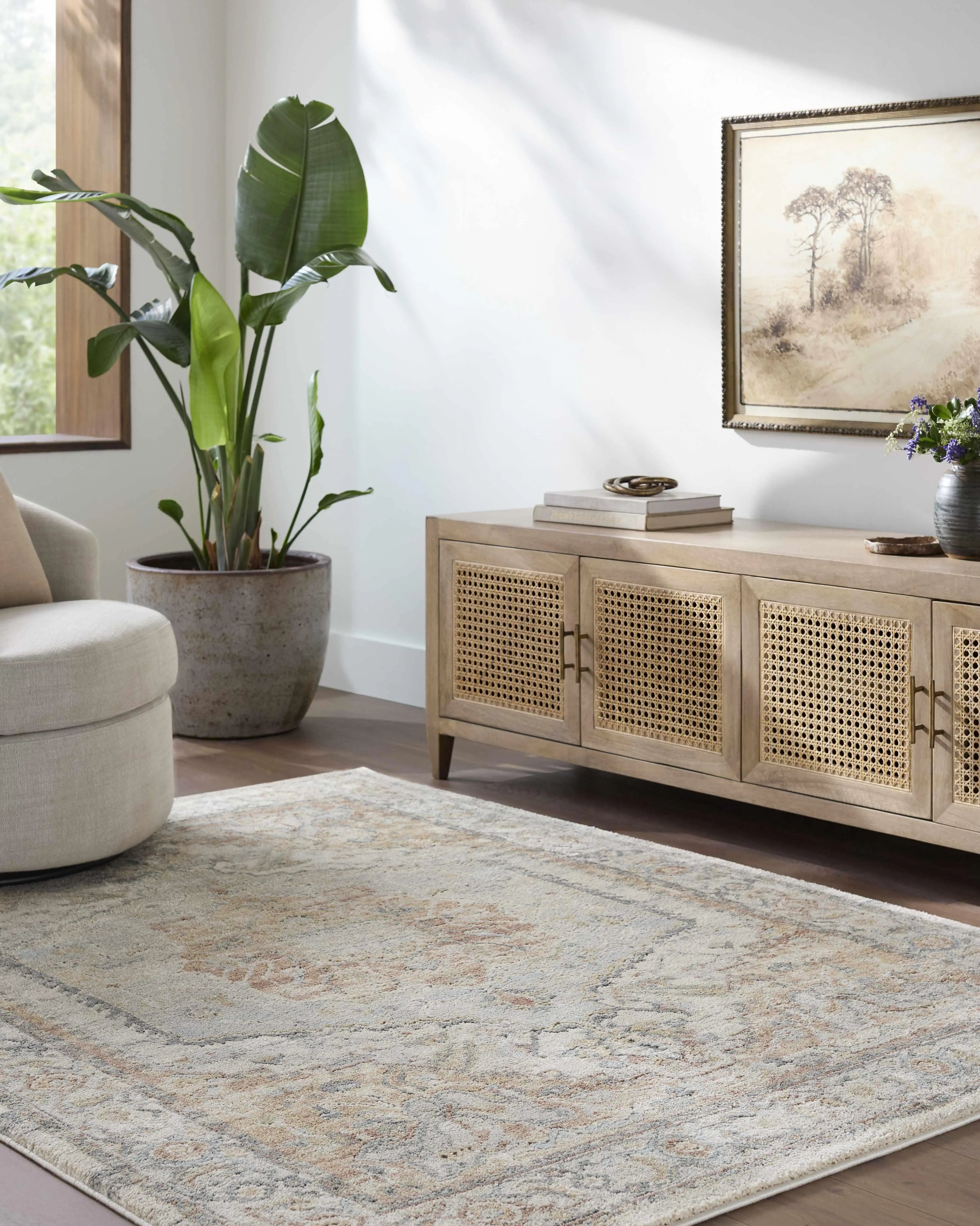 Cozy living room with farmhouse style cane cabinet, area rug, potted plant, and framed wall art
