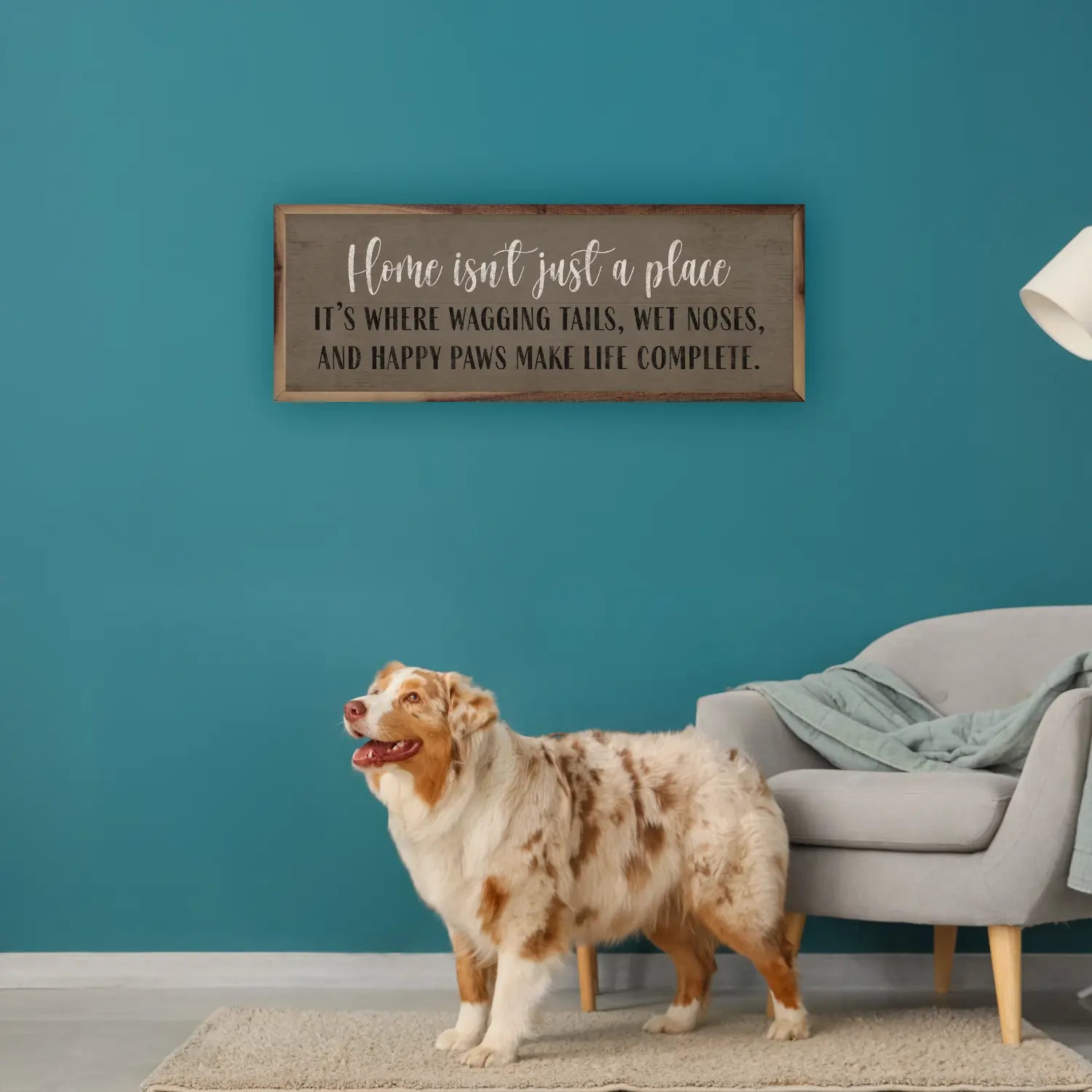 Dog standing in a living room with a motivational sign on the wall.