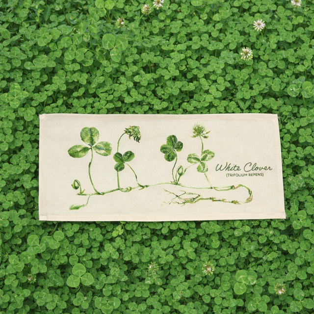 A rectangular cream-colored fabric bandana or towel featuring a green line-art illustration of white clover and the text 'White Clover (TRIFOLH REPENS)' printed on the right side. The item is laid flat on a dense background of green clover.