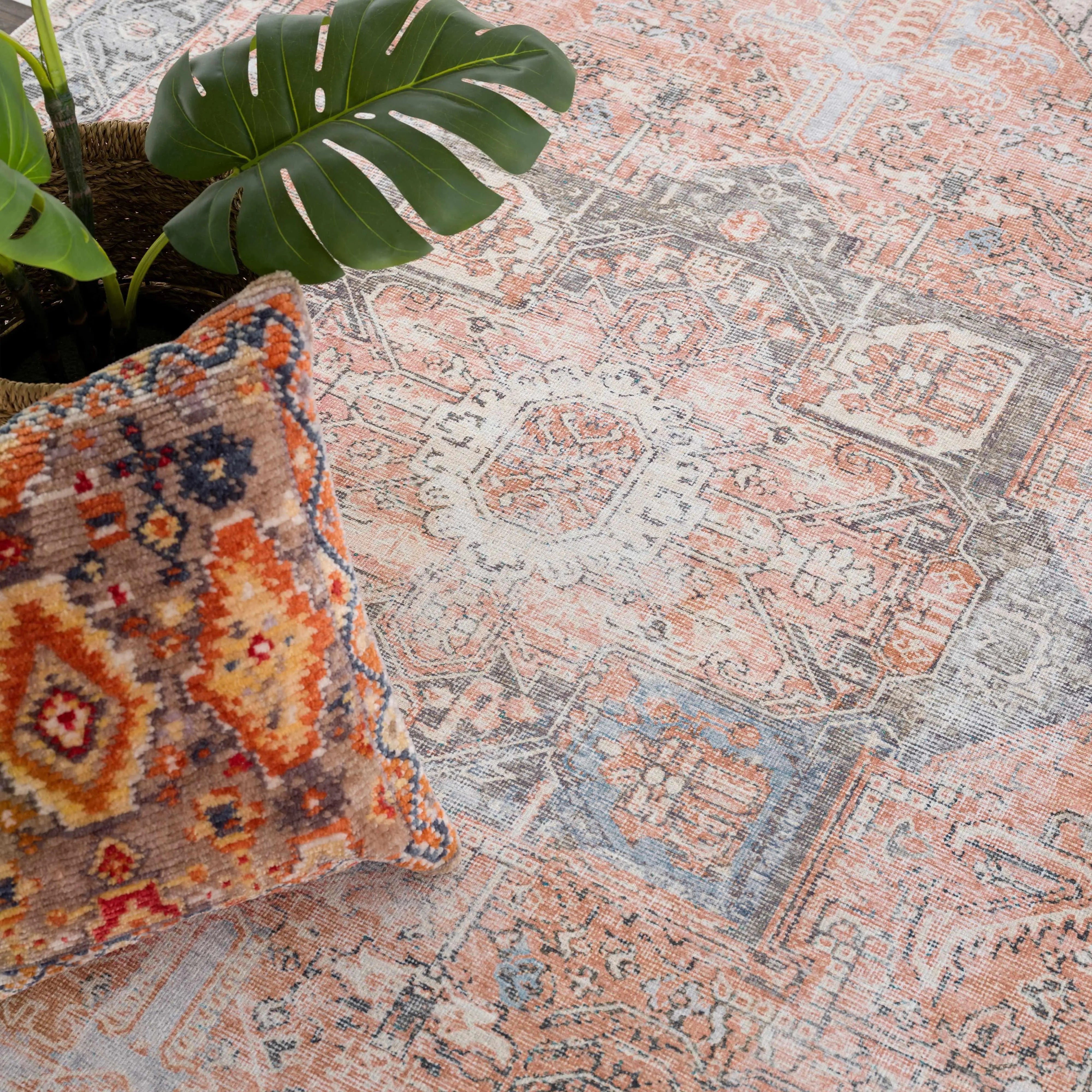Boho chic area rug with vintage pattern, paired with a matching throw pillow and monstera plant for cozy farmhouse decor.