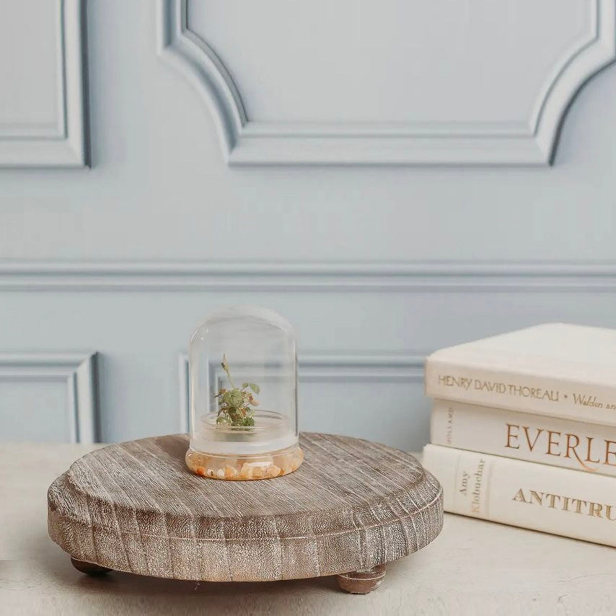 Small round wooden table with a glass dome containing a plant, against a light blue wall.