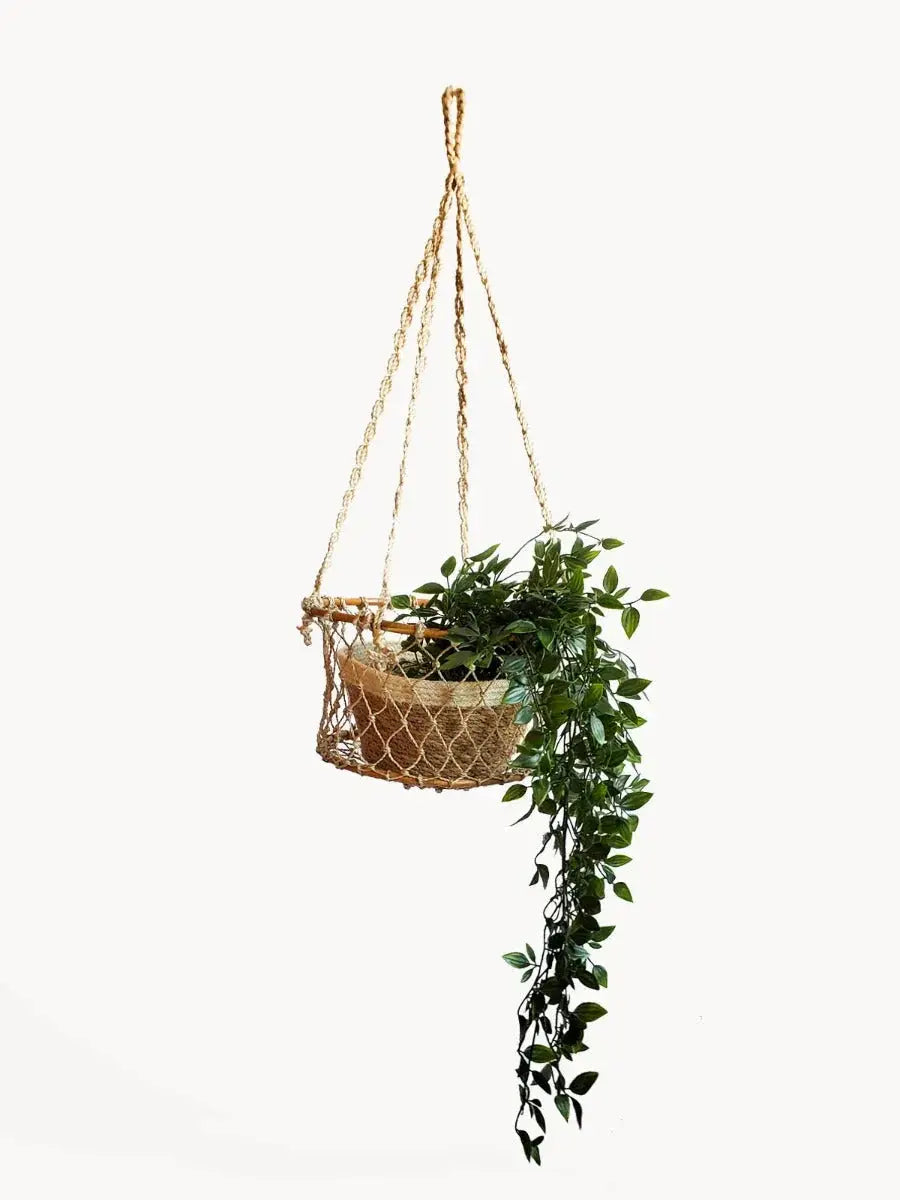 Macrame hanging planter with trailing green plant, farmhouse decor for cozy living spaces