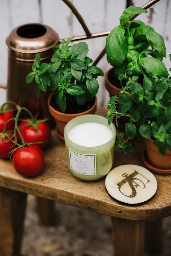 Cozy farmhouse candle with fresh basil, tomatoes, and potted herbs on rustic wood table