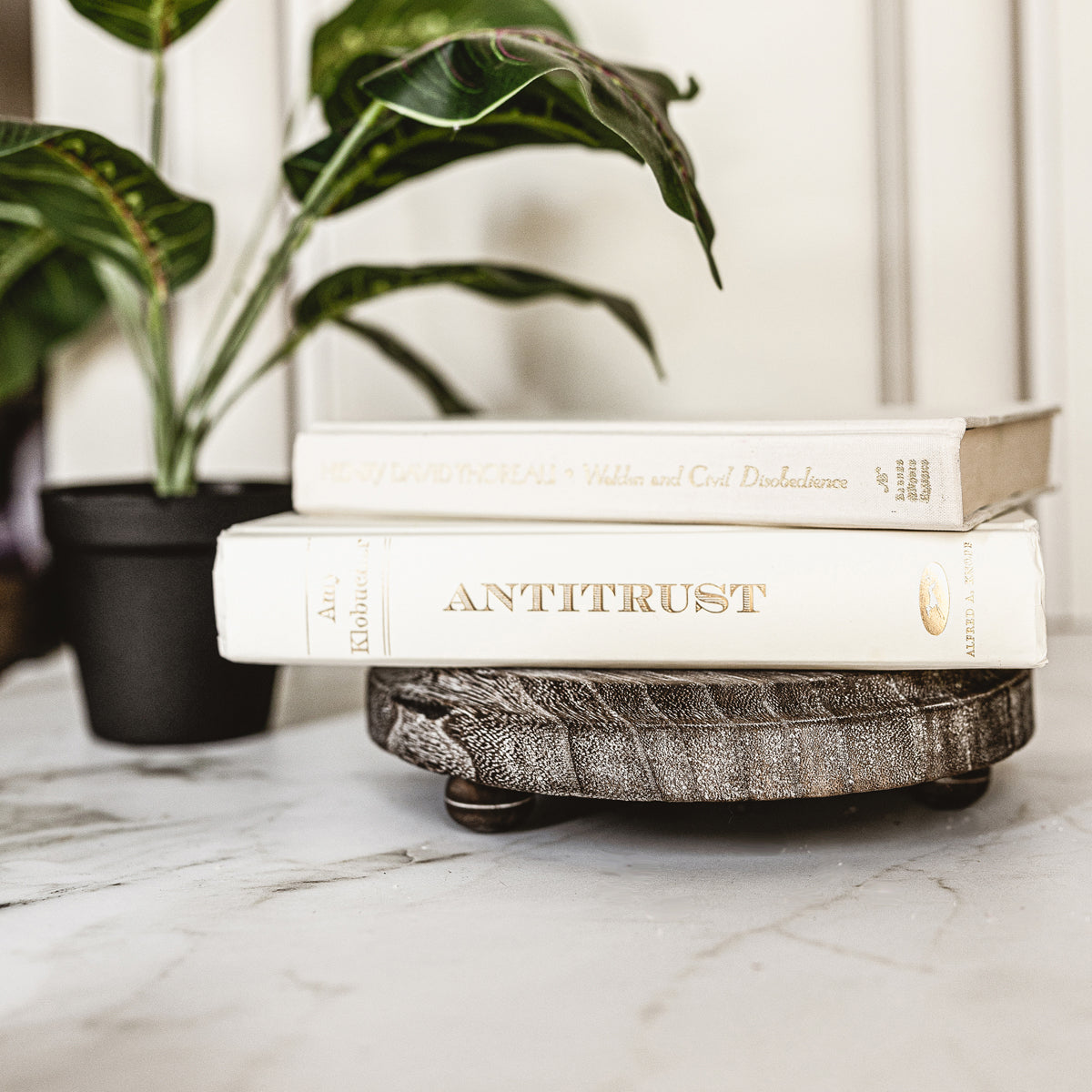 Stack of books on a marble surface with a plant in the background