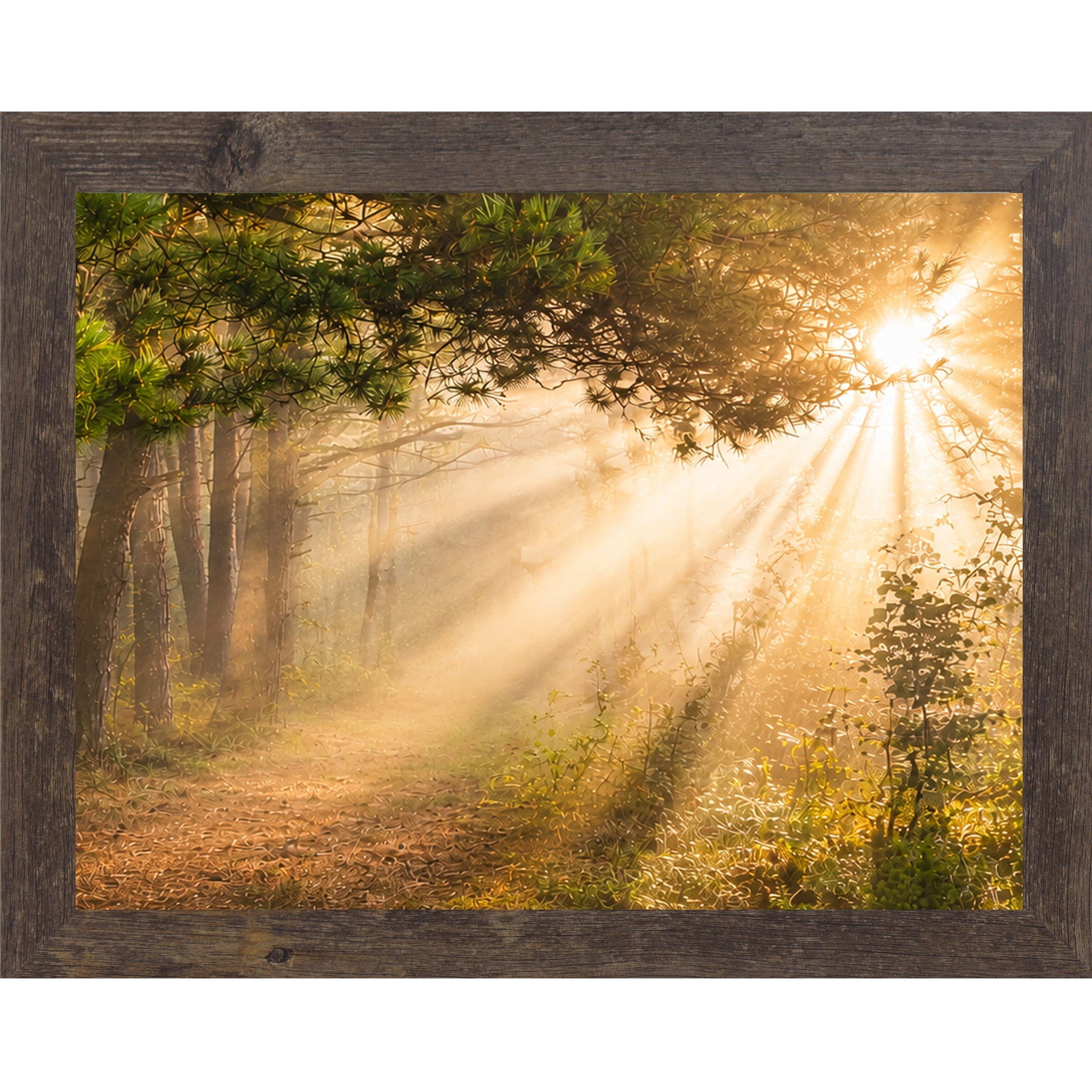 Sunlight filtering through trees in a forest with a wooden frame.