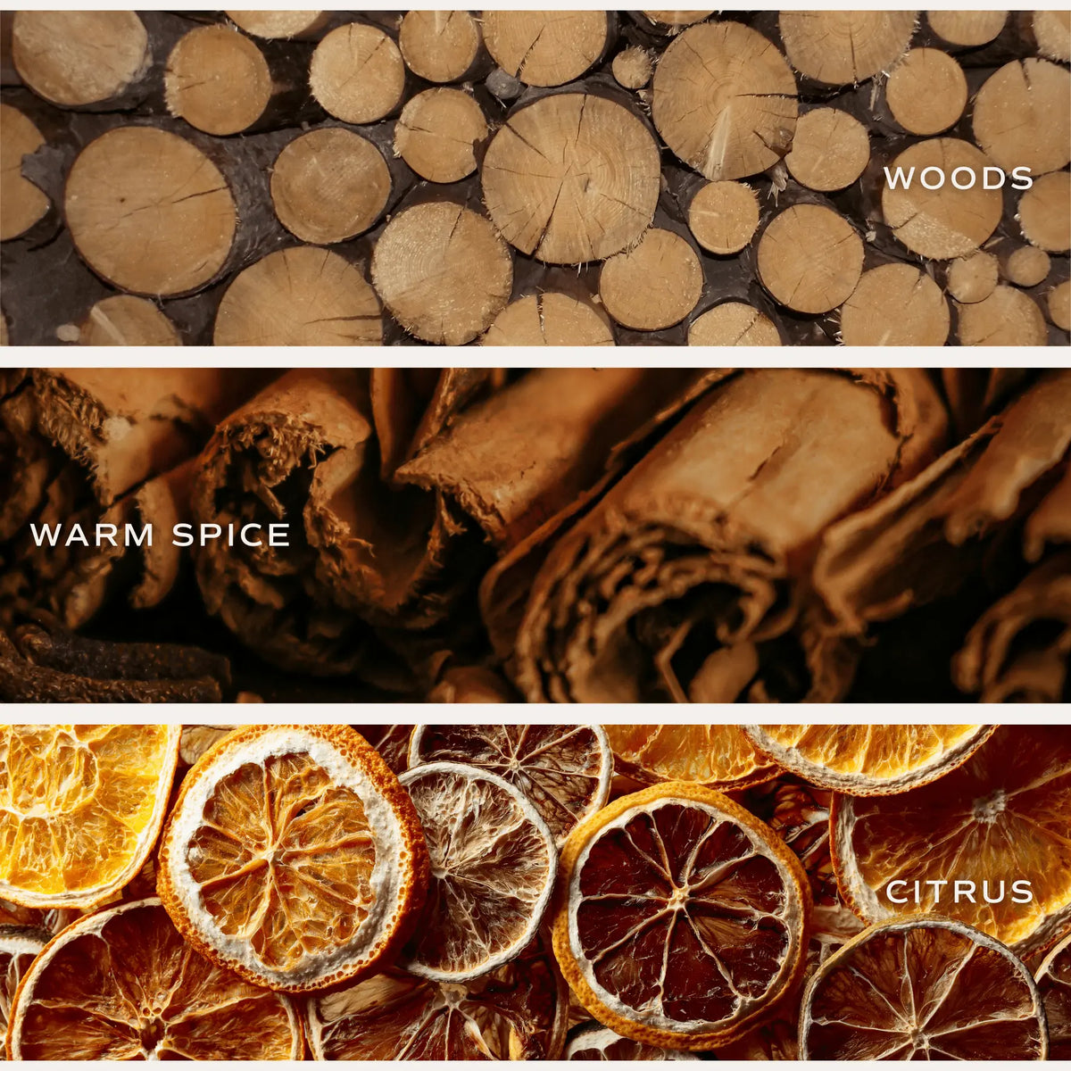 Three sections of wood logs, cinnamon sticks, and dried citrus slices with labels 'Woods', 'Warm Spice', and 'Citrus'.