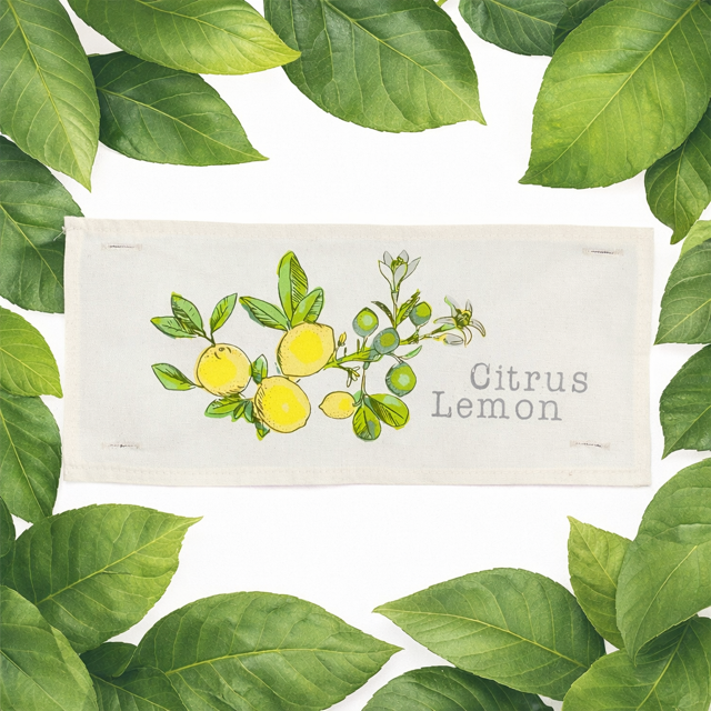 A rectangular cream-colored fabric napkin or tea towel featuring an embroidered illustration of yellow lemons and green leaves, with the text 'Citrus Lemon' printed on the right side. The napkin is framed by a border of fresh green leaves on a white background.