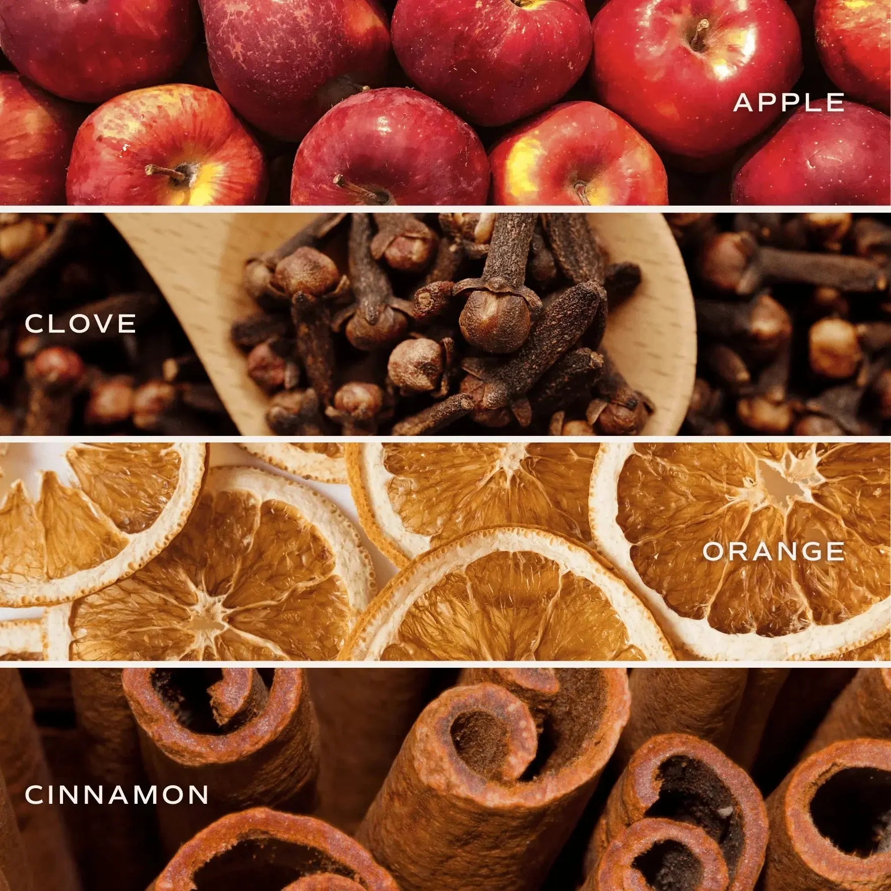 Apple, clove, orange, and cinnamon spices for cozy fall home decor and scented candles