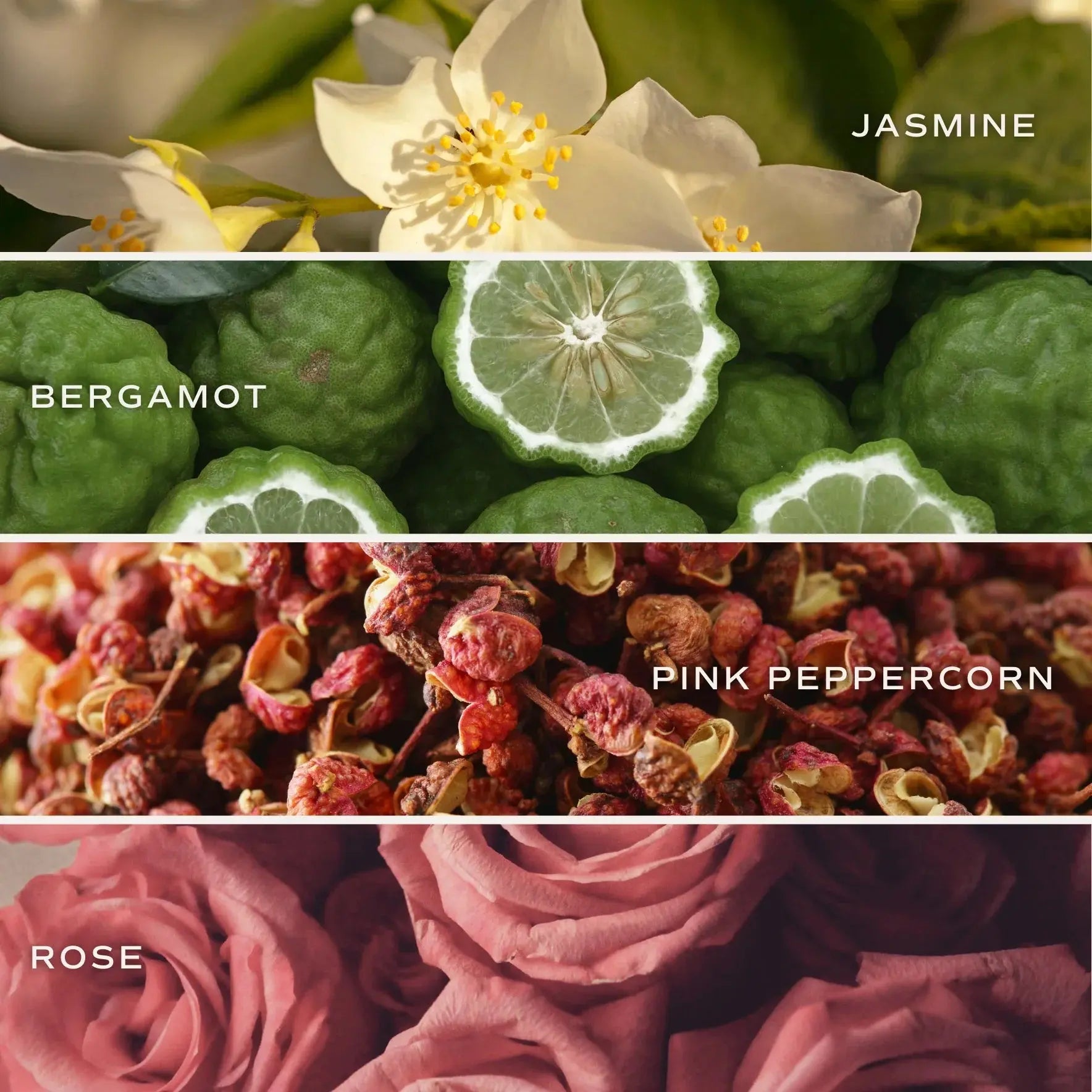 Jasmine, bergamot, pink peppercorn, and rose botanicals for cozy home fragrance and bath essentials