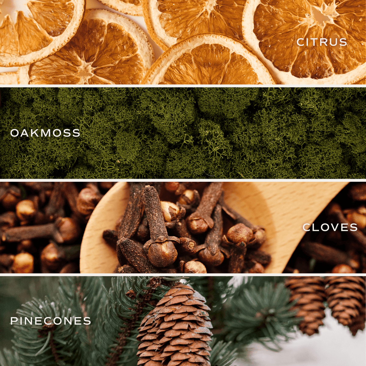 Collection of dried oranges, oakmoss, cloves, and pinecones with labels.