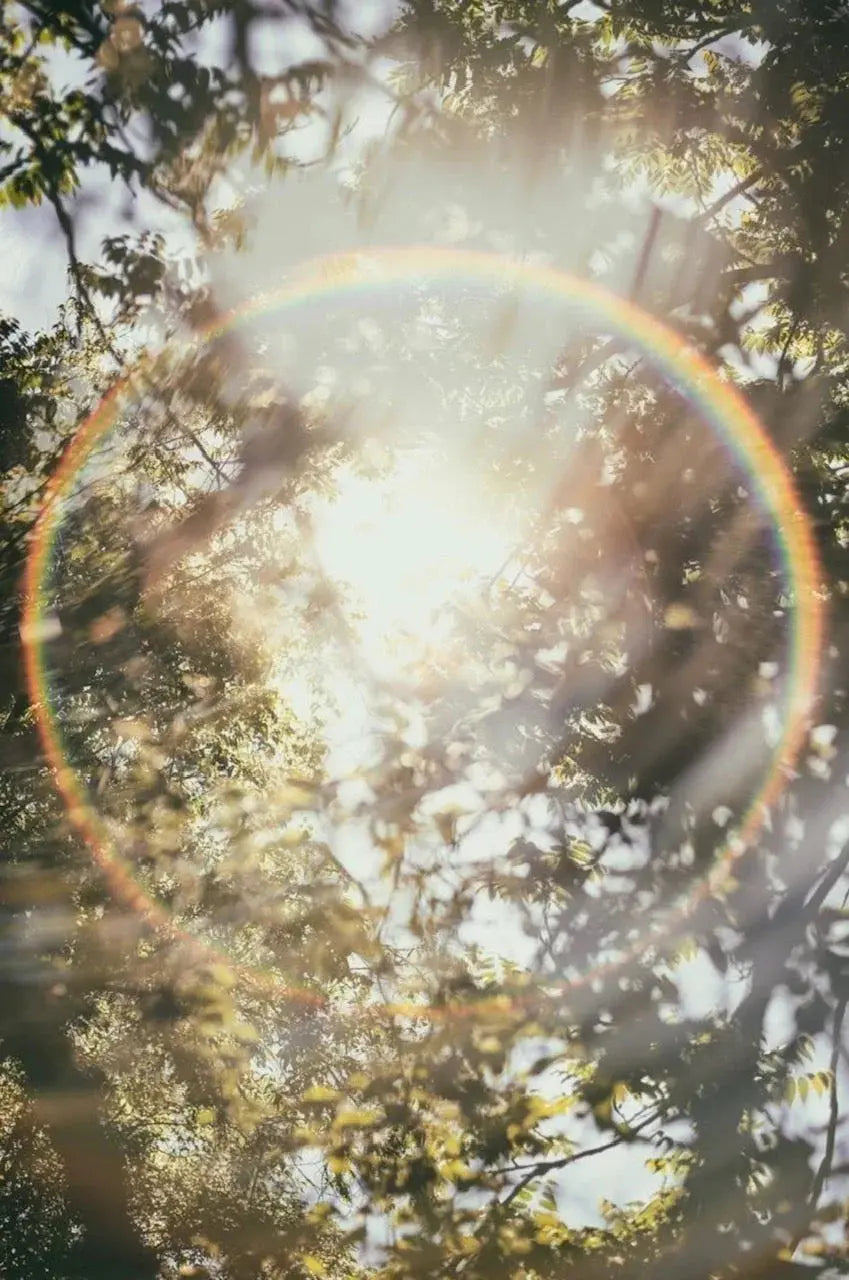 Sunlight filtering through trees with rainbow lens flare, cozy nature-inspired ambiance