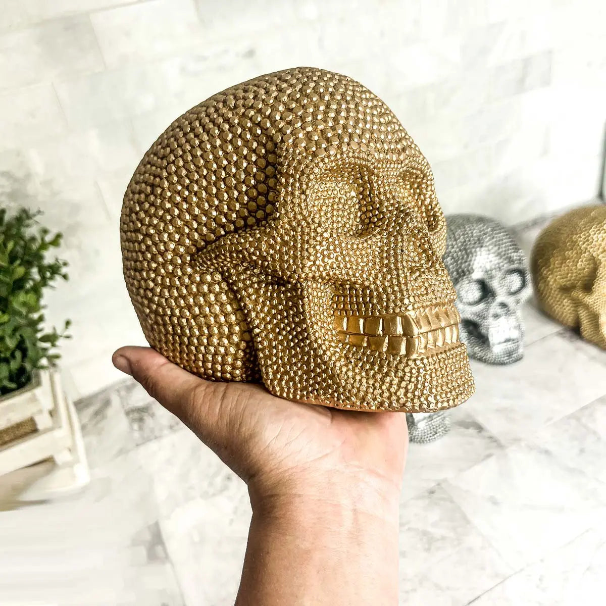 Skull | Silver or Gold Gia Roma Skull | Silver or Gold Gia Roma