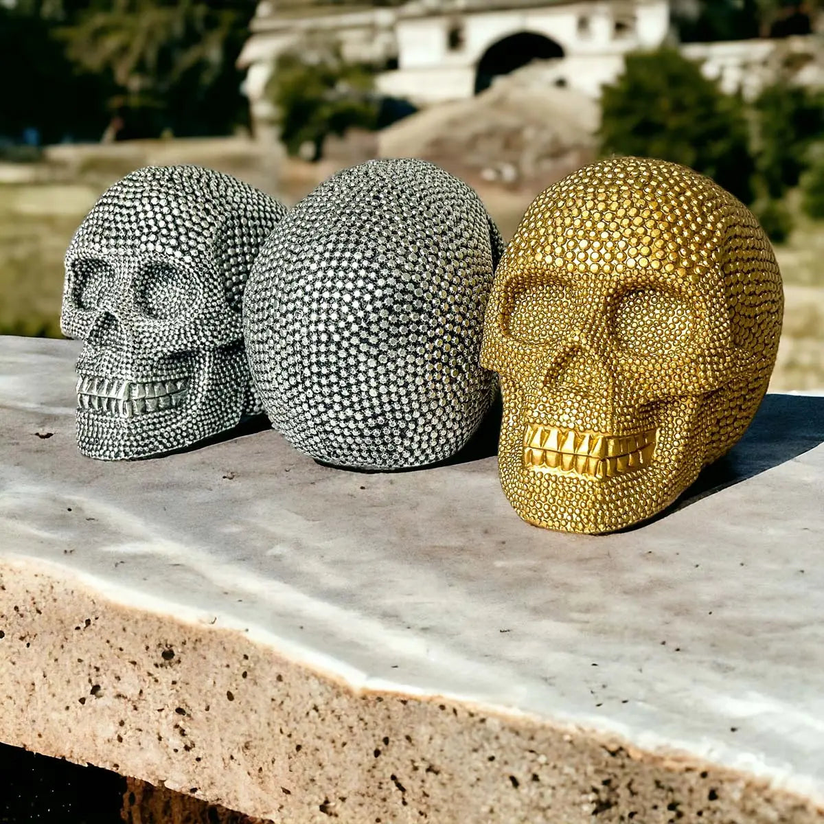 Skull | Silver or Gold Gia Roma Skull | Silver or Gold Gia Roma