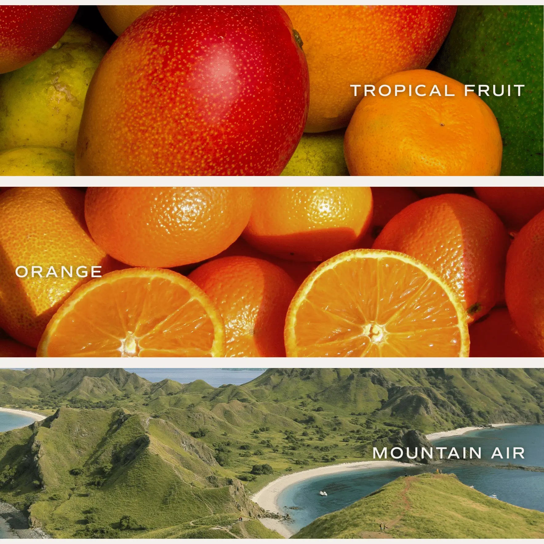 Tropical fruit, orange slices, and mountain air scenery for cozy home fragrance inspiration