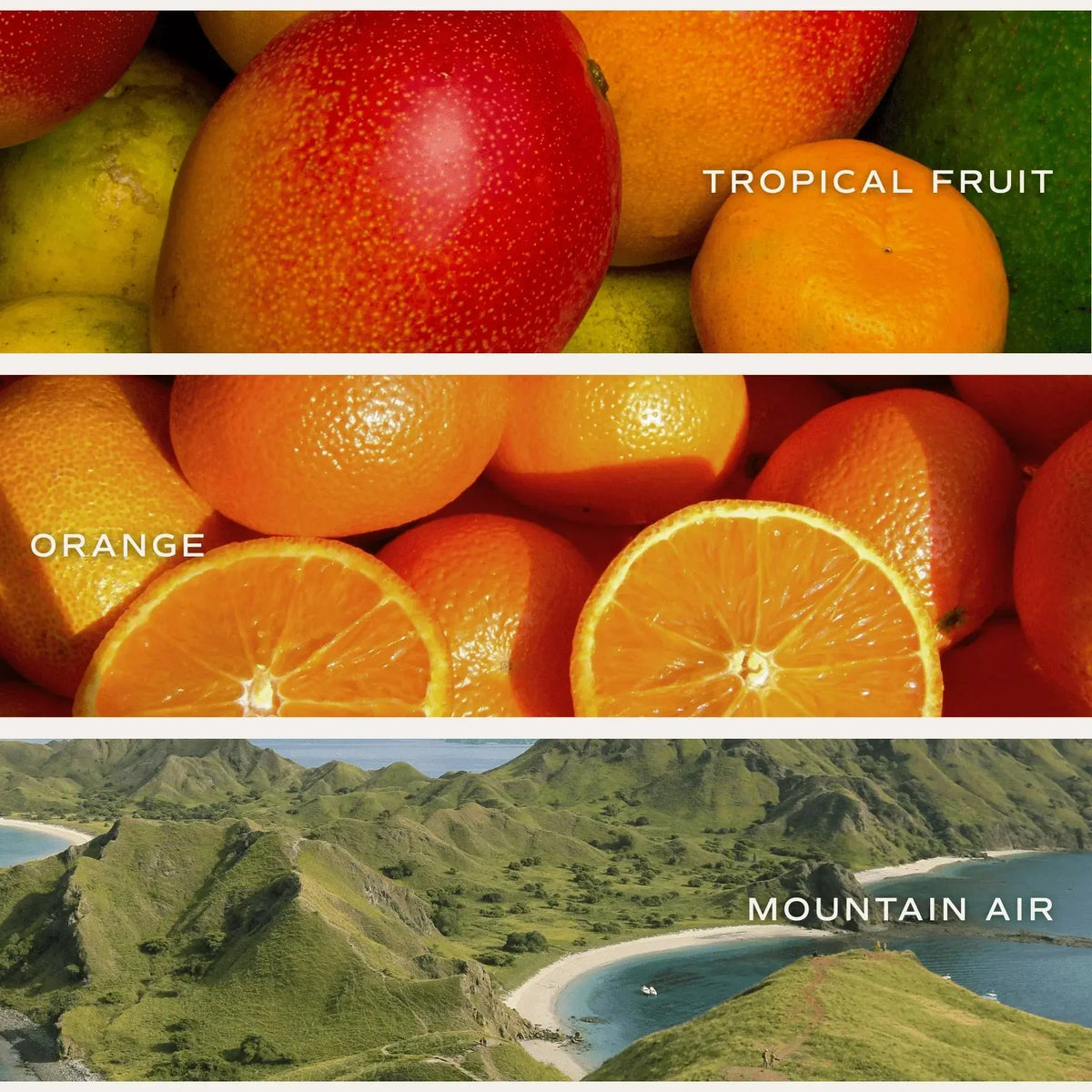 Tropical fruit, orange slices, and mountain air scenery for cozy home fragrance inspiration