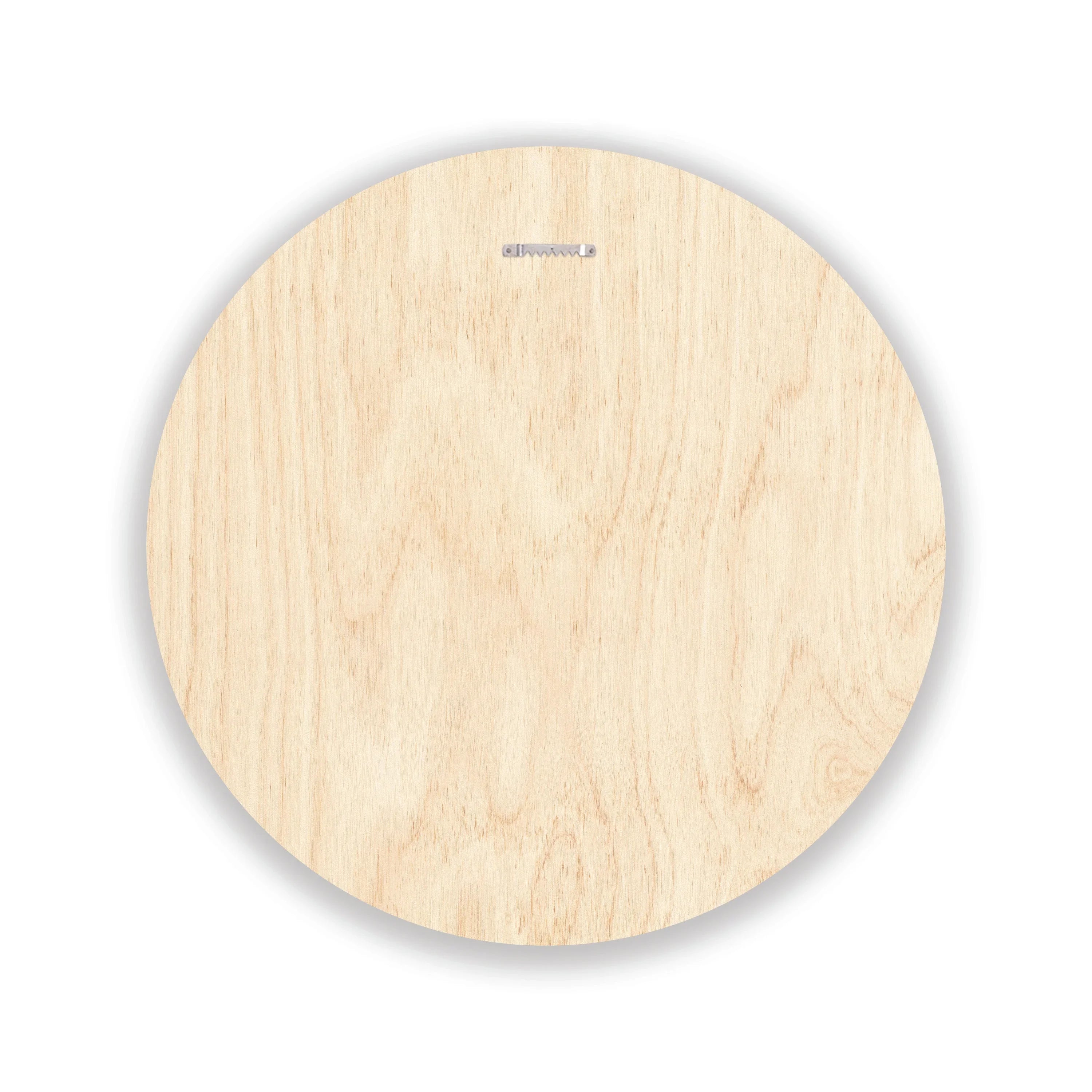 Flags In Field Fence Circle