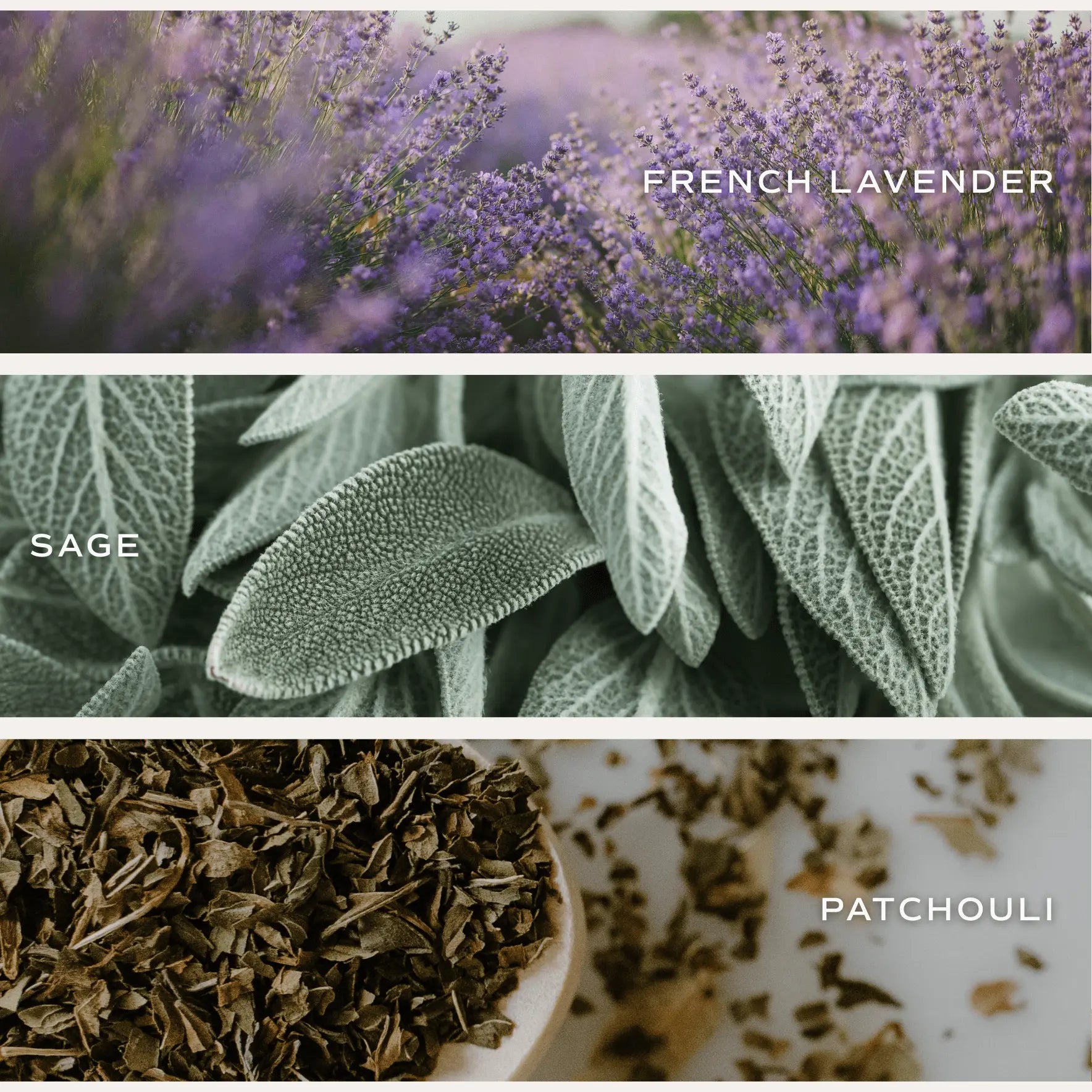 French lavender, sage, and patchouli botanicals for cozy home fragrances and bath essentials