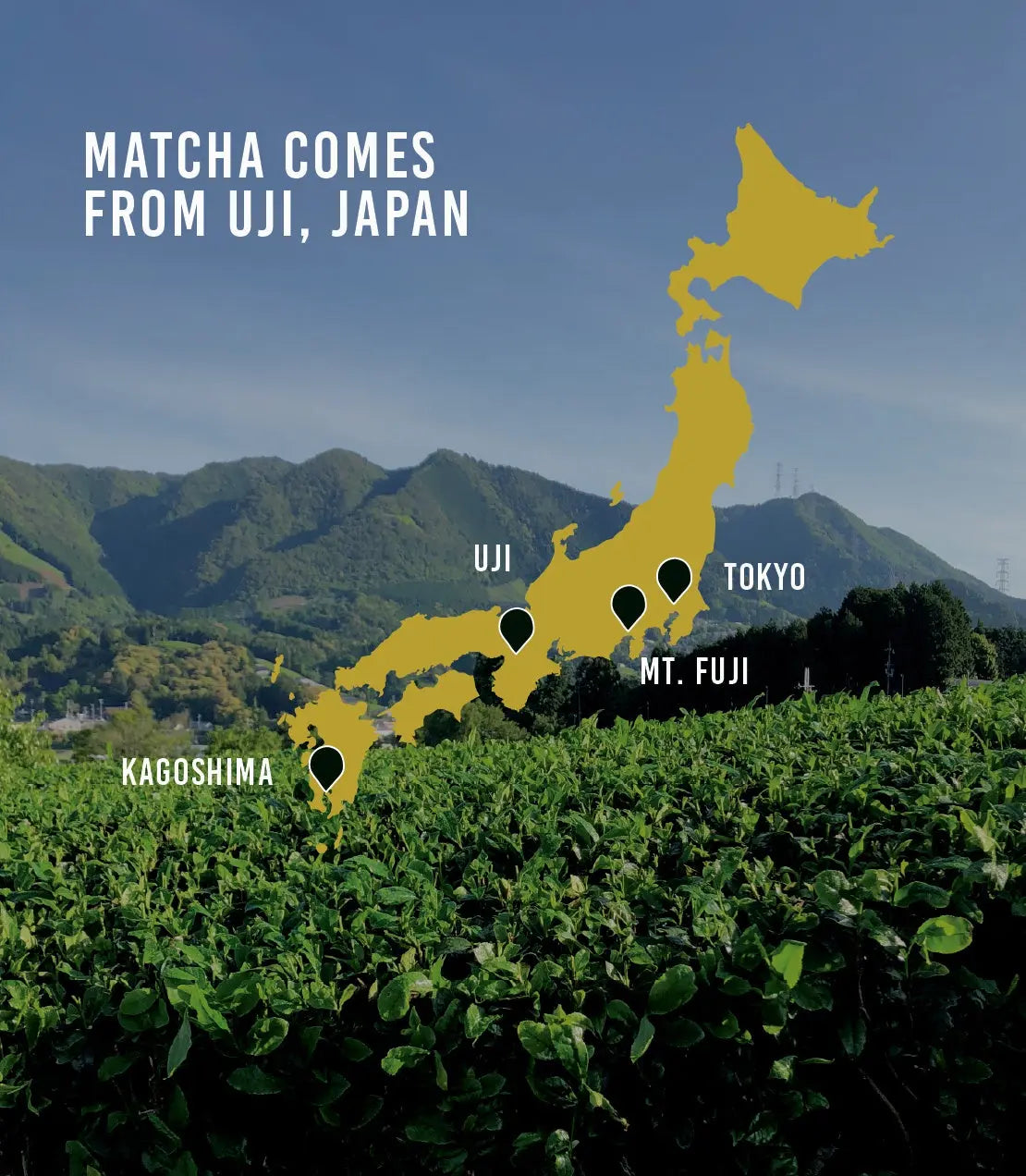 Matcha from Uji, Japan — lush green tea fields with map highlighting Uji, Tokyo, Mt. Fuji, Kagoshima