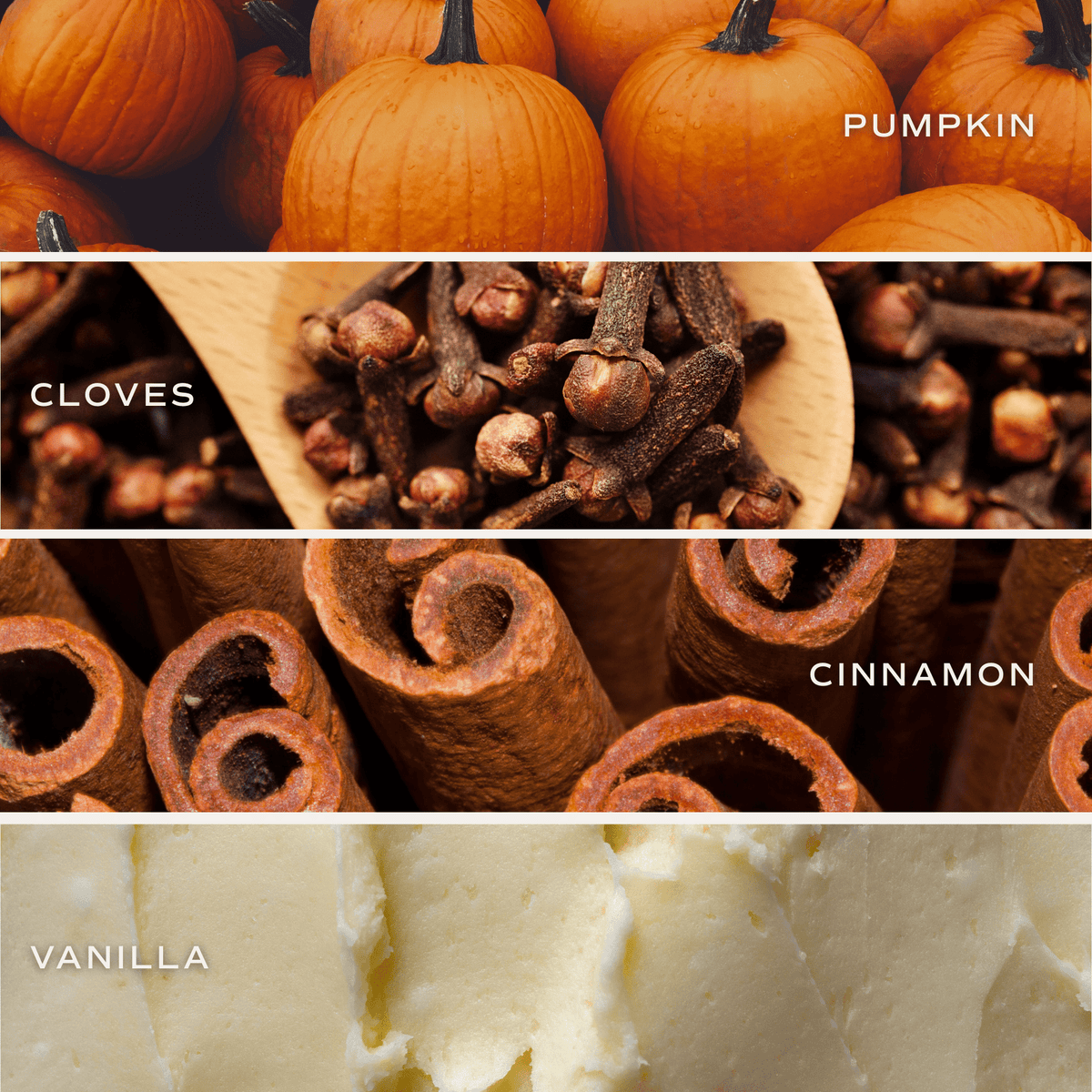 Pumpkin Spice Soy Candle - Orange Matte Jar - 15 oz KJ Cozy Designs