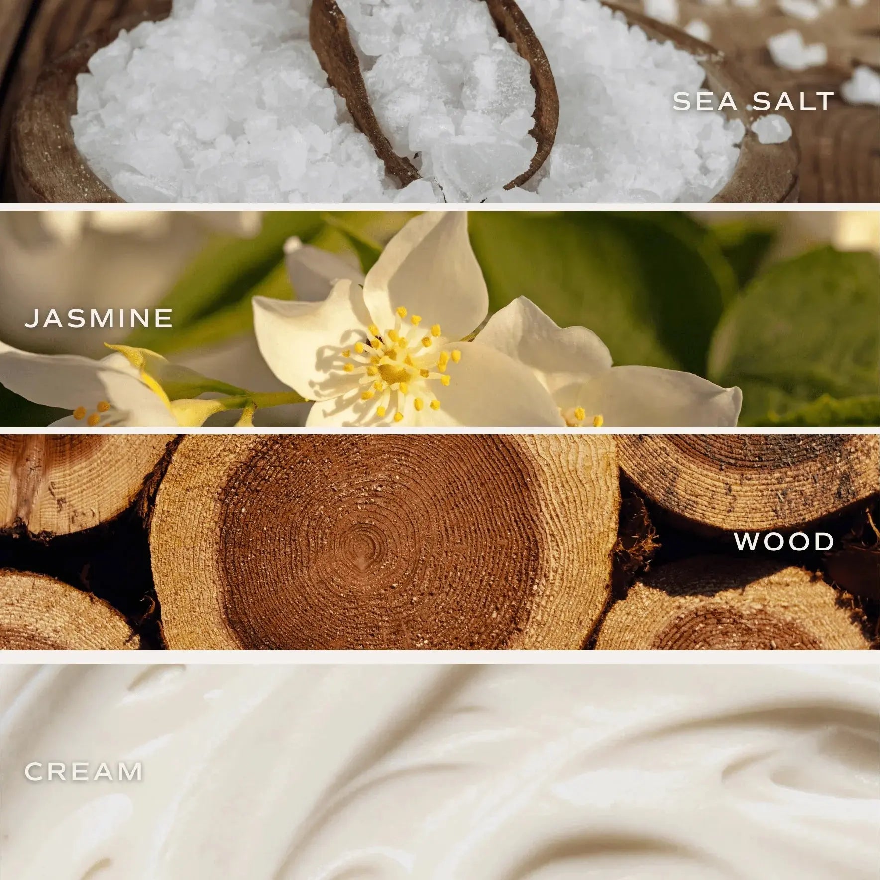 Sea salt, jasmine flower, wood slices, and creamy texture for cozy bath essentials and home decor