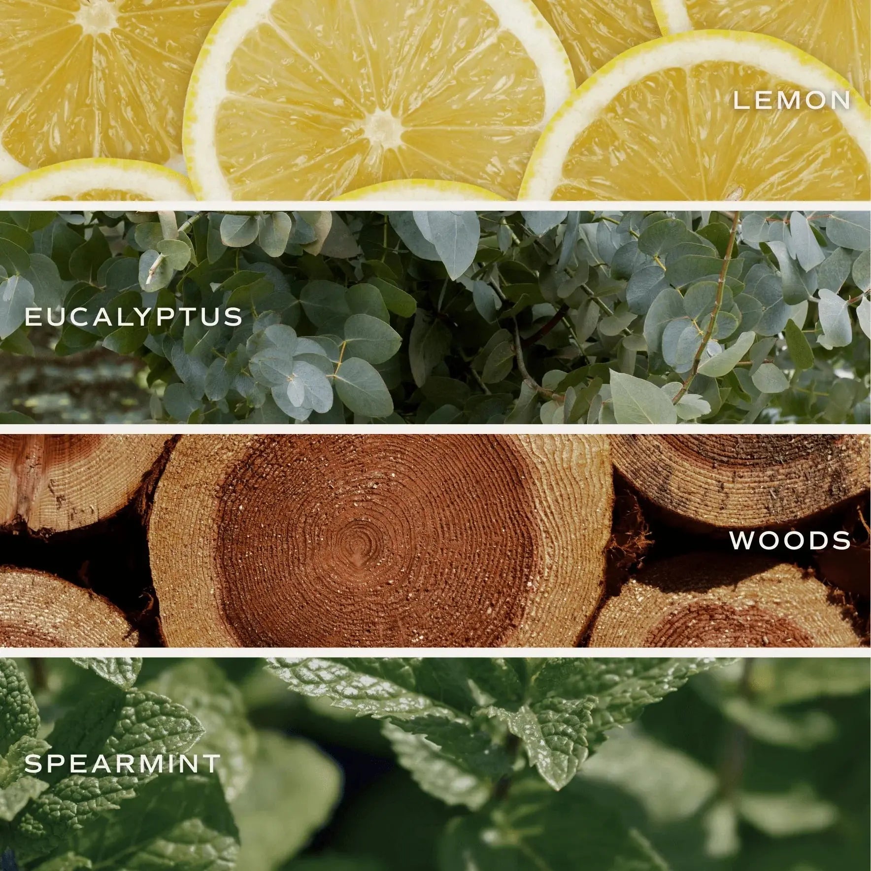 Lemon, eucalyptus, woods, and spearmint scents for cozy home candles and bath essentials