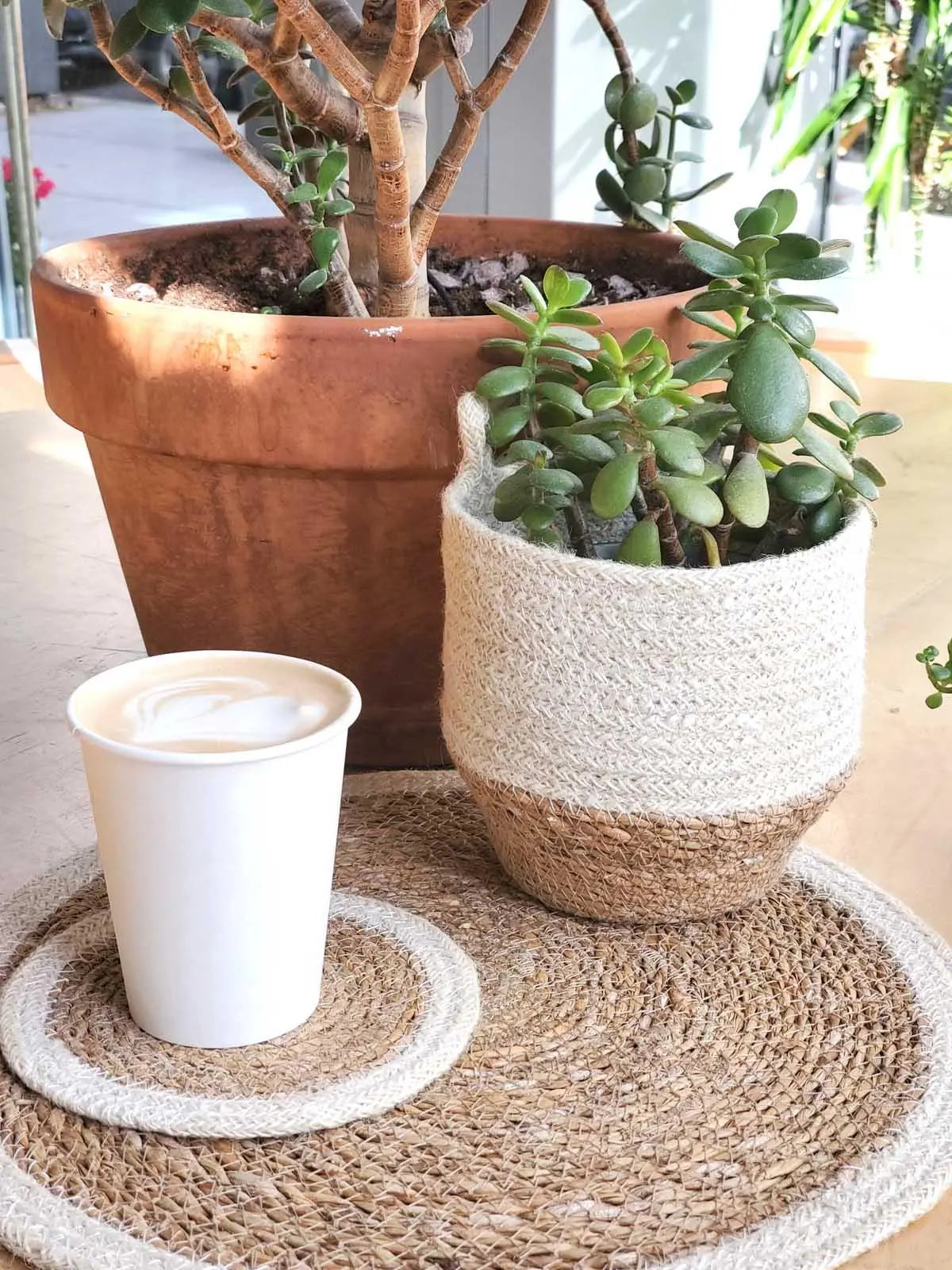 Cozy farmhouse table with succulents in woven pots, latte, and jute placemat for peaceful home decor