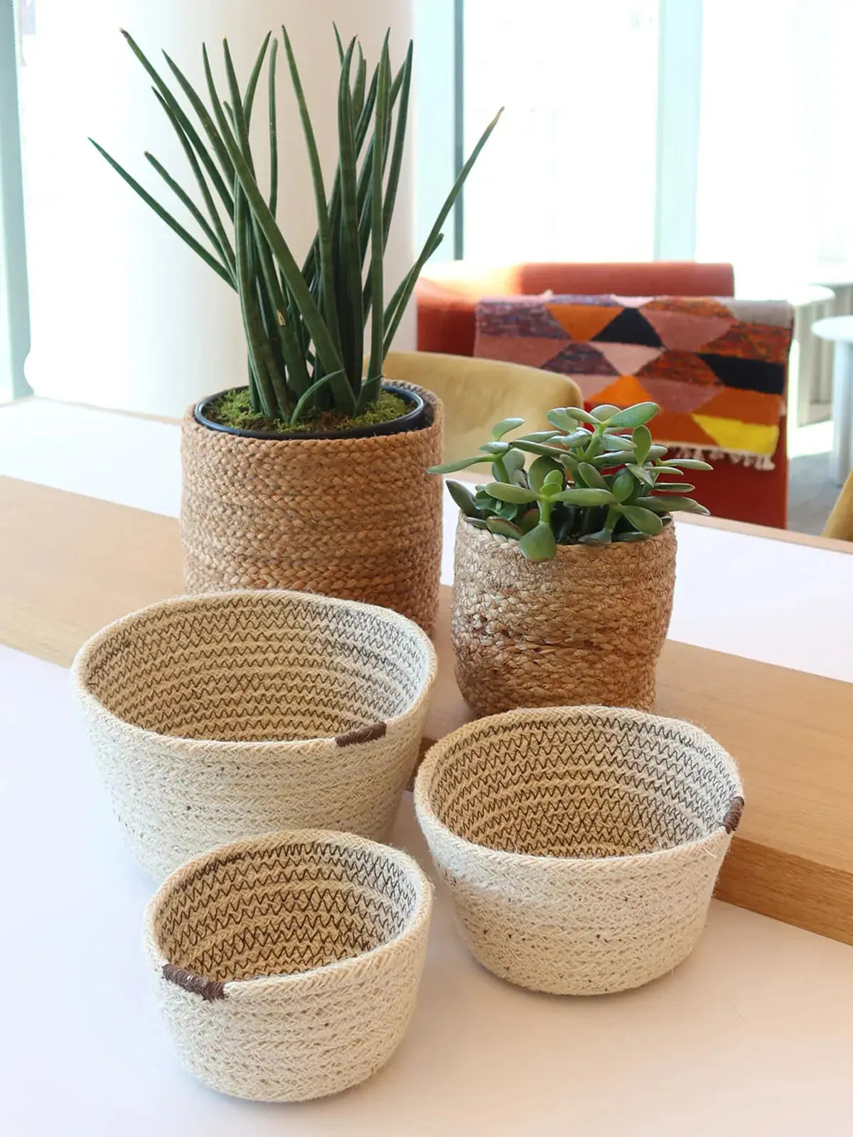 Woven seagrass baskets & planters for cozy farmhouse decor with succulents and greenery