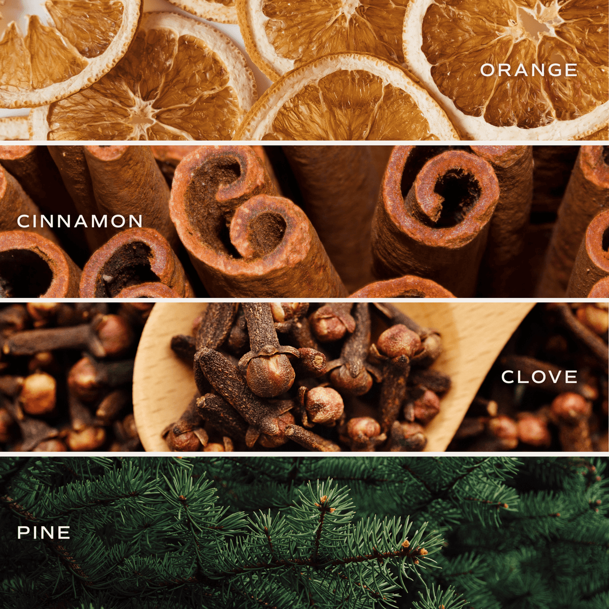 Collage of dried orange slices, cinnamon sticks, cloves, and pine needles with labels.