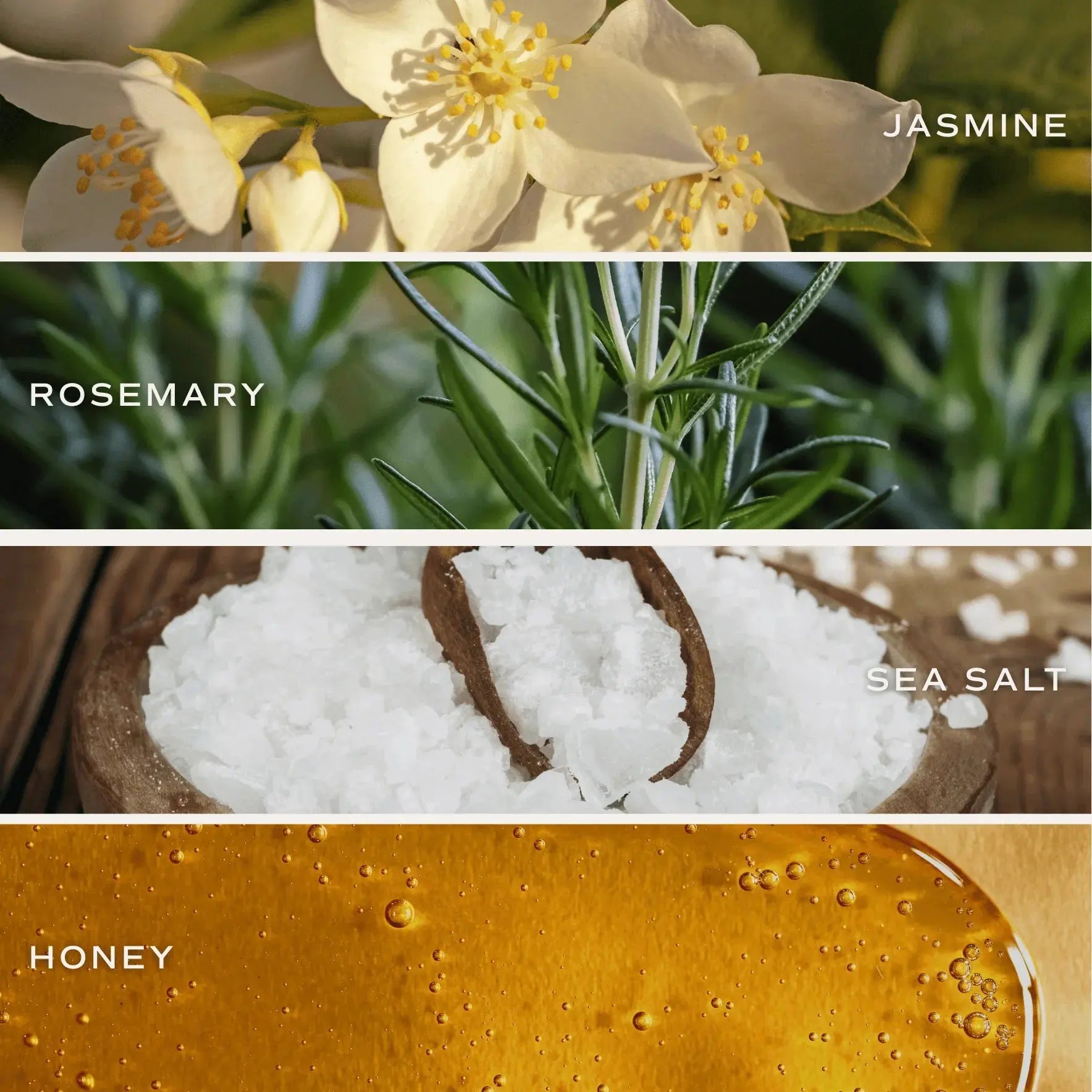 Jasmine flowers, rosemary leaves, sea salt crystals, and honey – natural bath and home fragrance ingredients