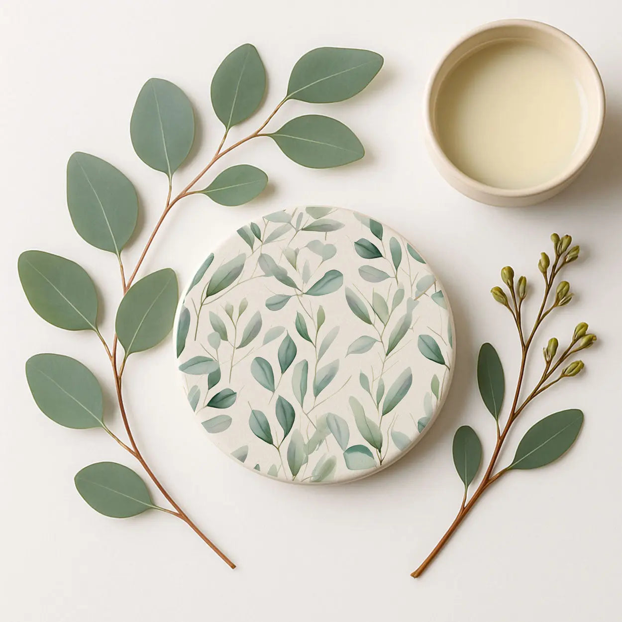 Eucalyptus Gia Roma Eucalyptus Gia Roma