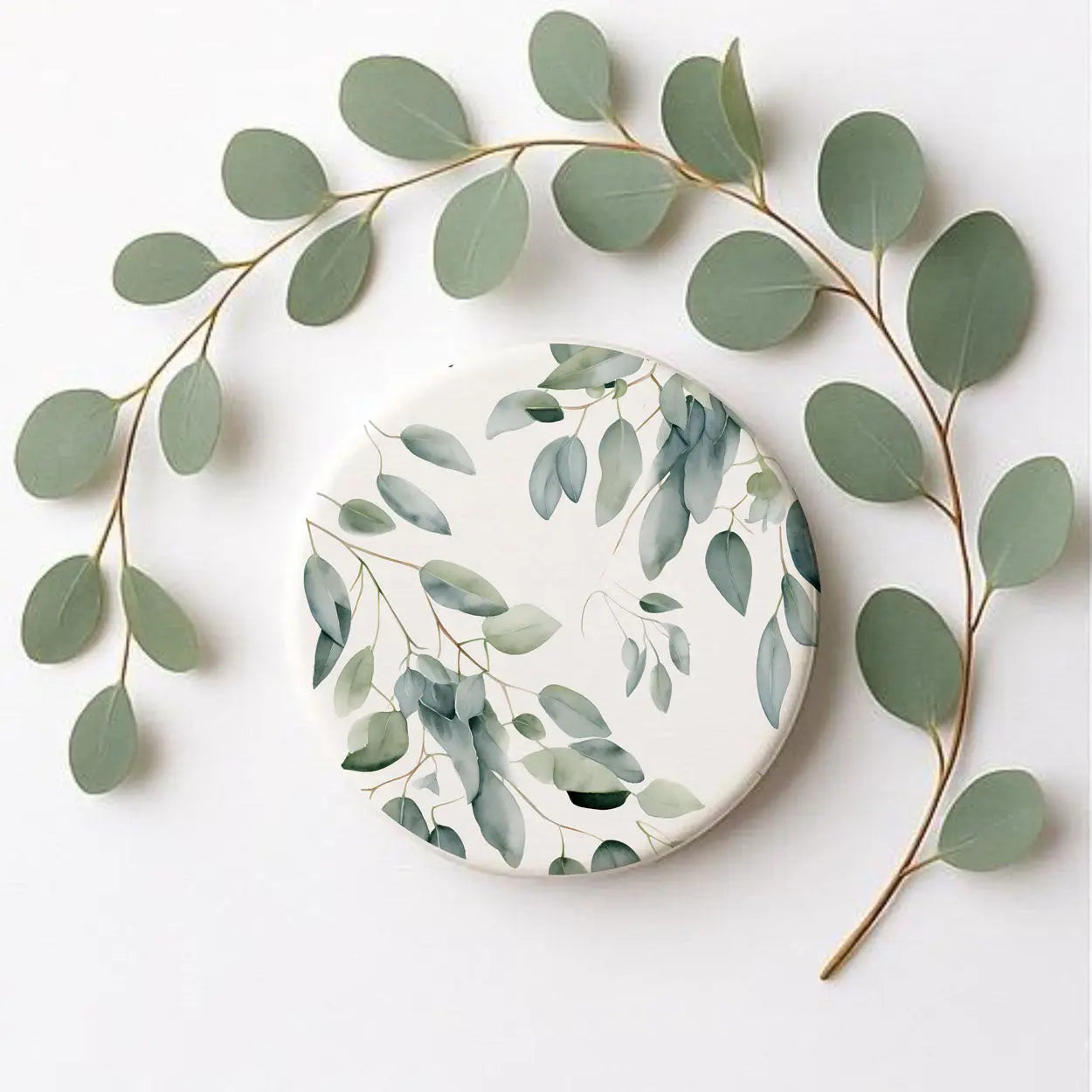 Eucalyptus Gia Roma Eucalyptus Gia Roma